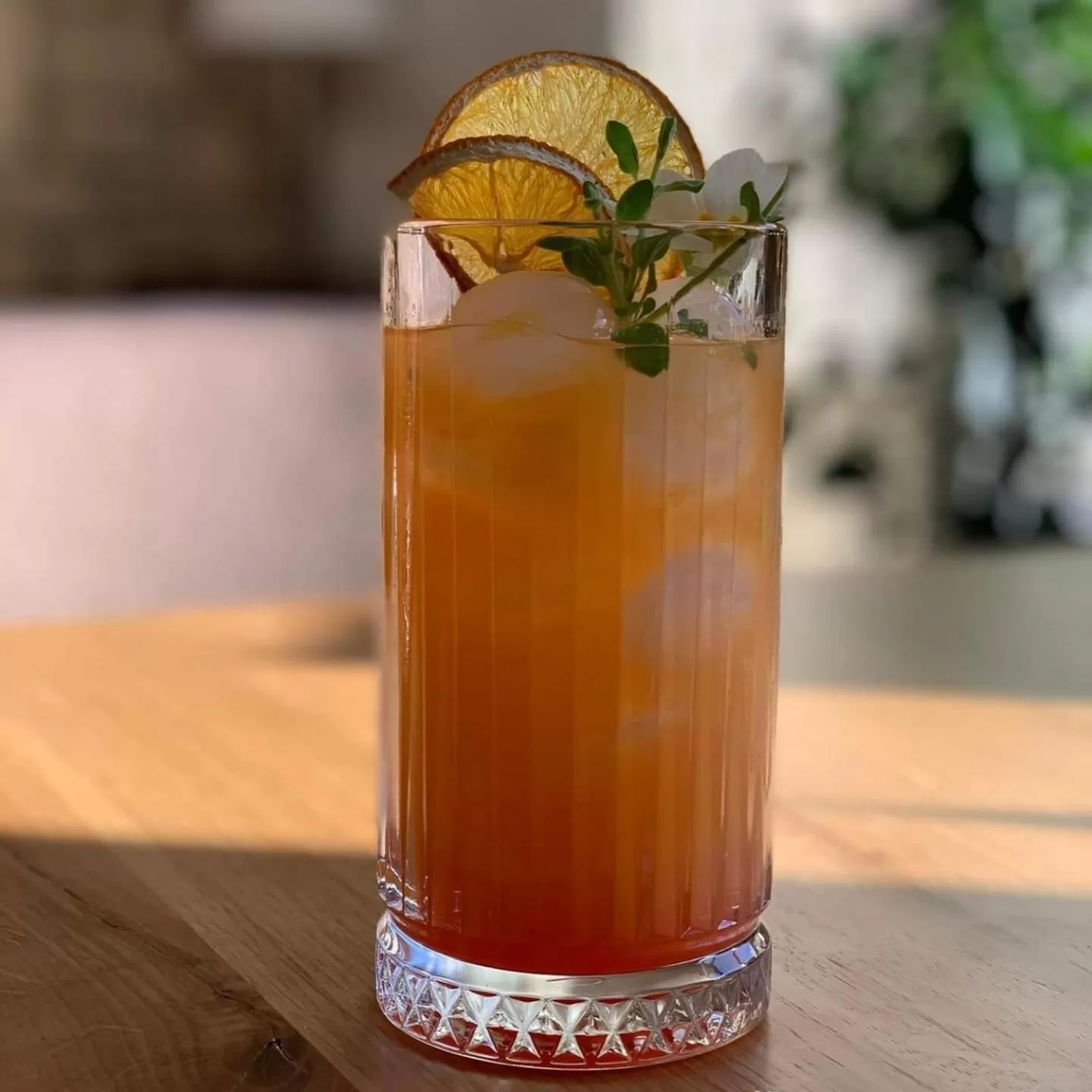 Food and drinks in Hiša Poljana Rooms