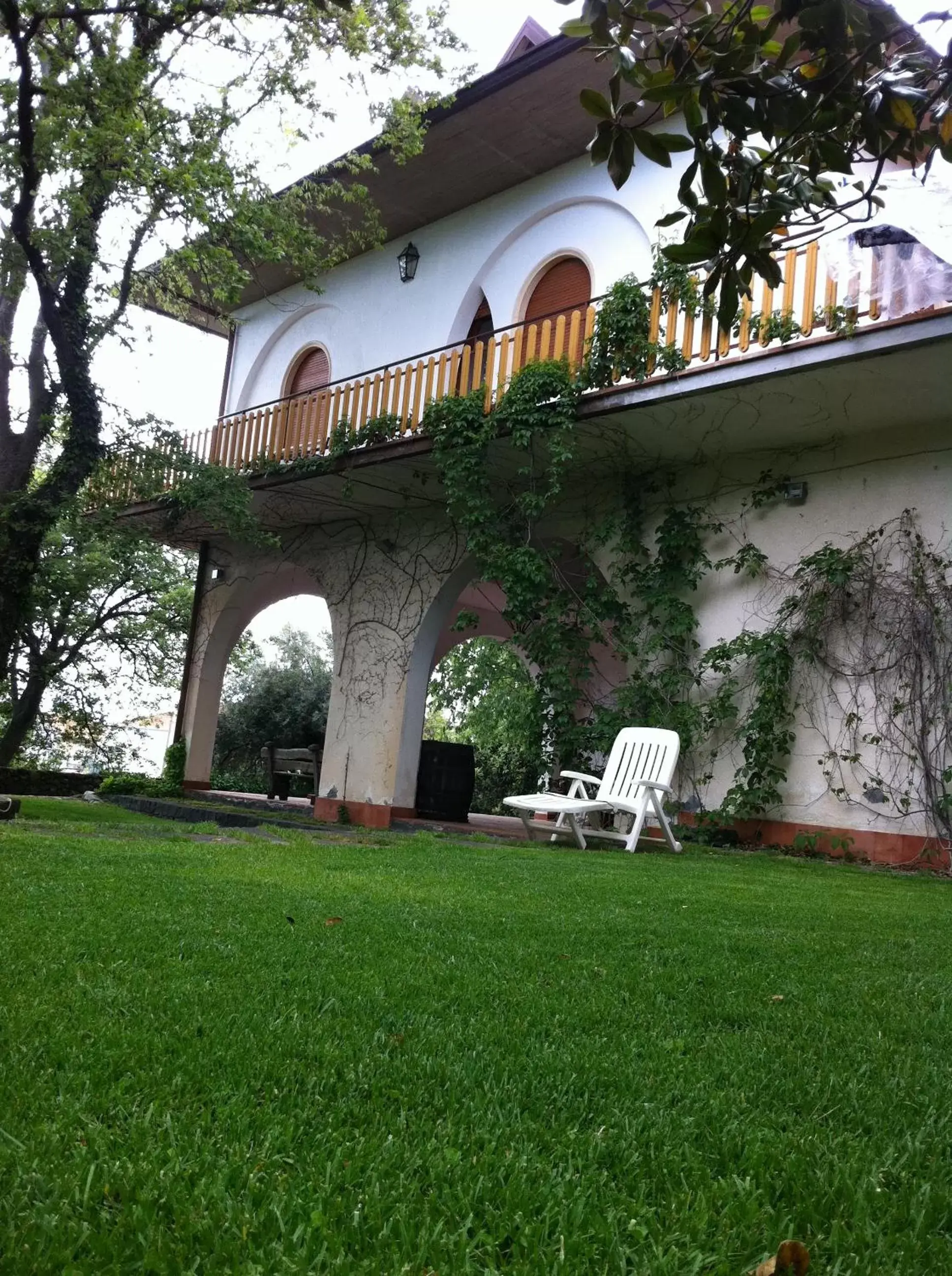 Garden, Property Building in Domus Verdiana