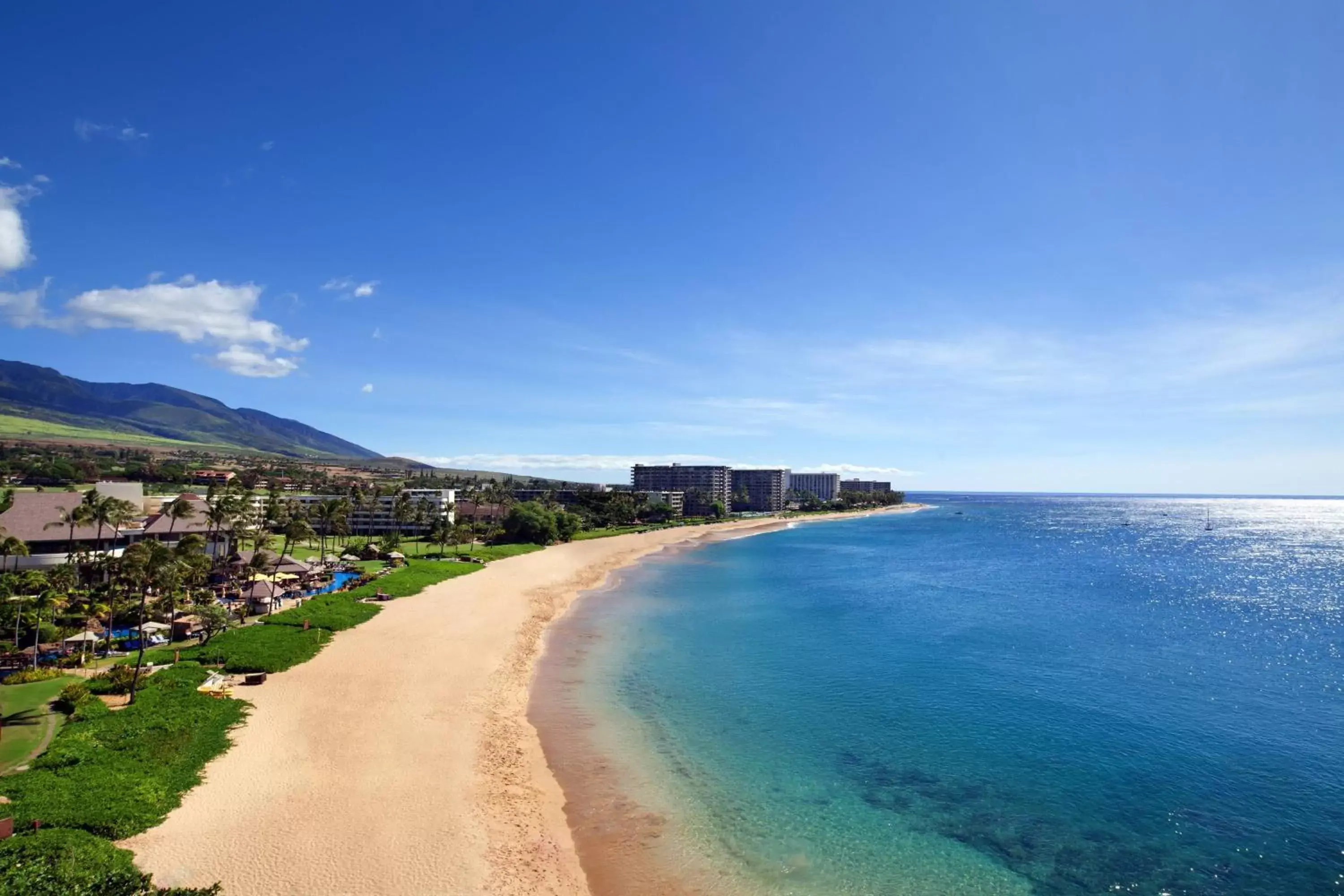 Photo of the whole room, Beach in Sheraton Maui Resort & Spa