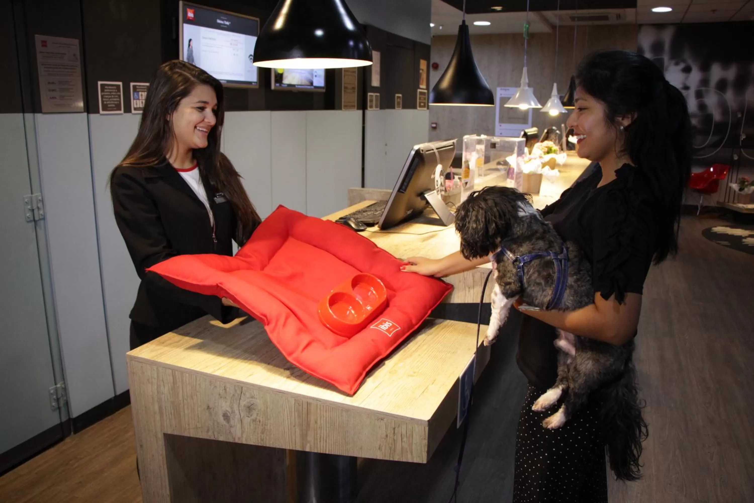 Animals in ibis Copacabana Posto 5