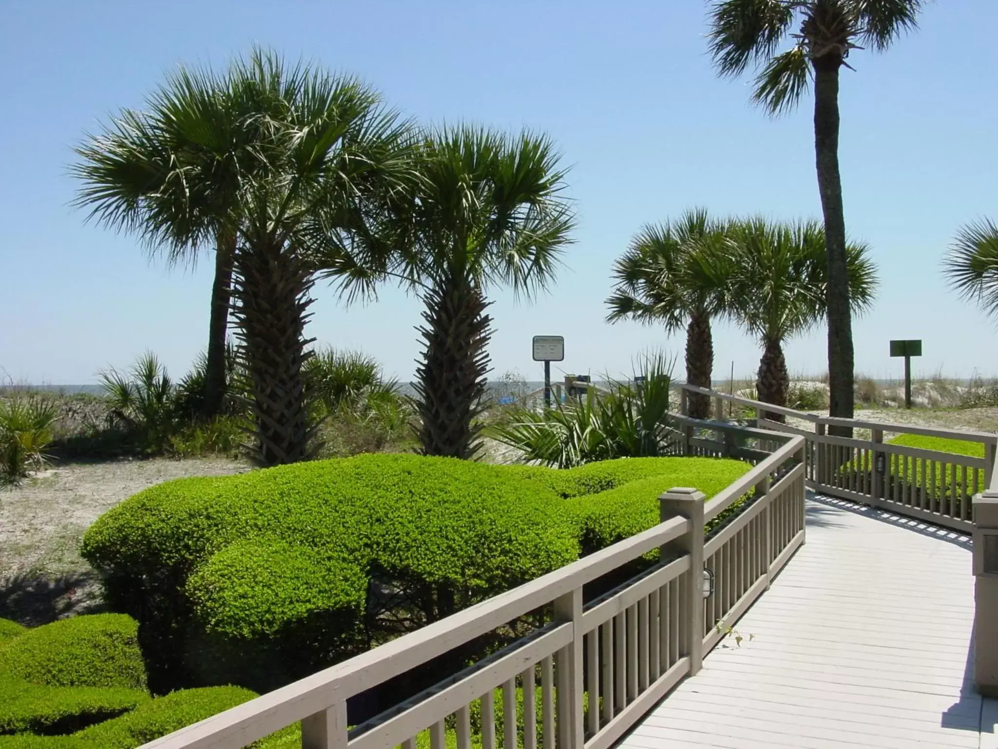 Beach in Omni Hilton Head Oceanfront Resort