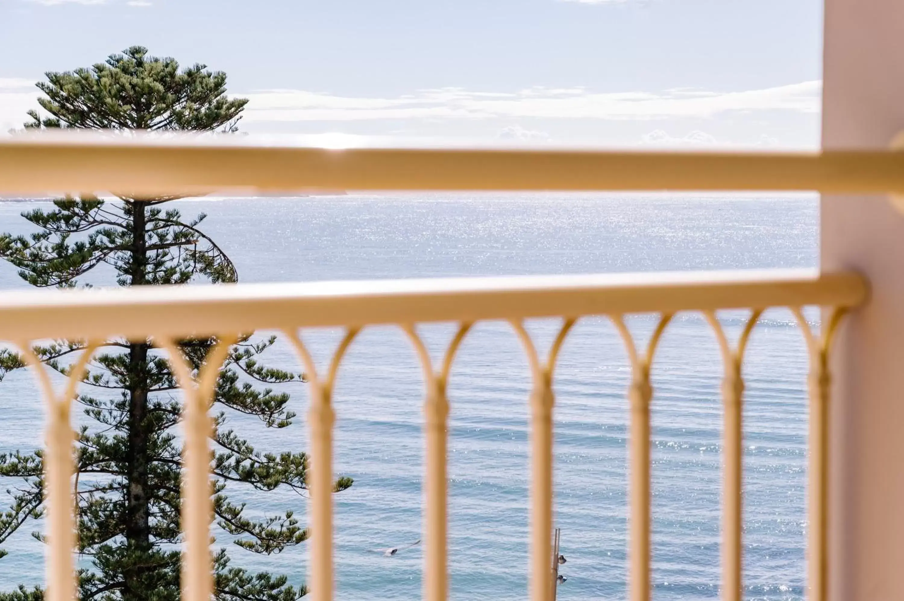 Photo of the whole room, Sea View in Crowne Plaza Terrigal Pacific, an IHG Hotel