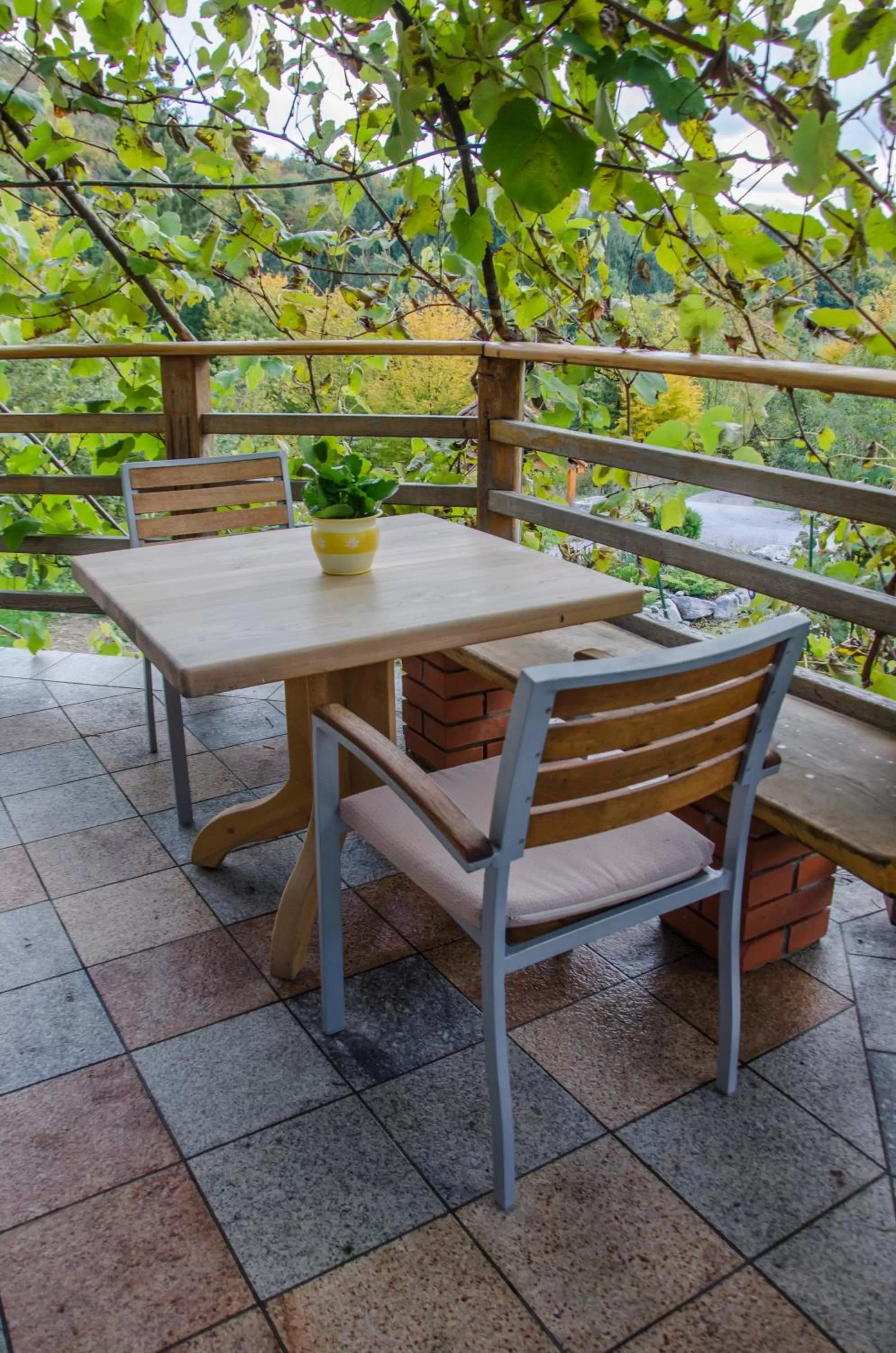 Area and facilities in Miškar Rooms