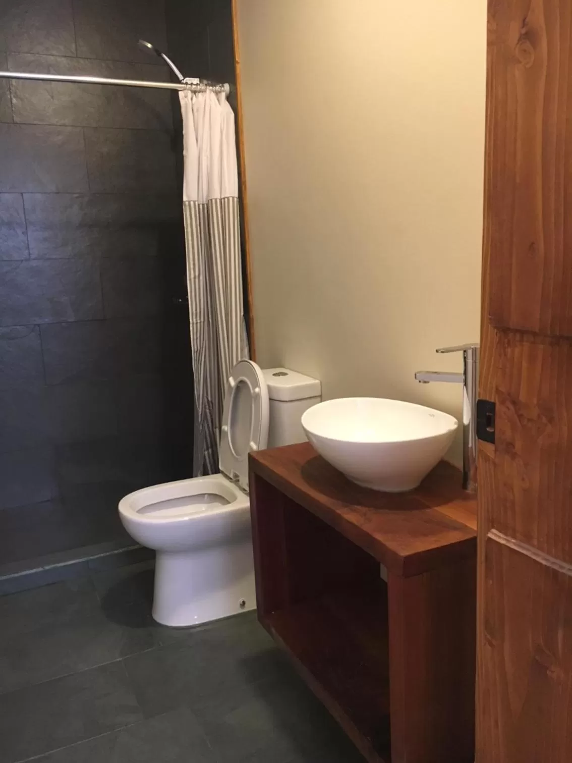 Toilet in Hotel 381 Panguipulli