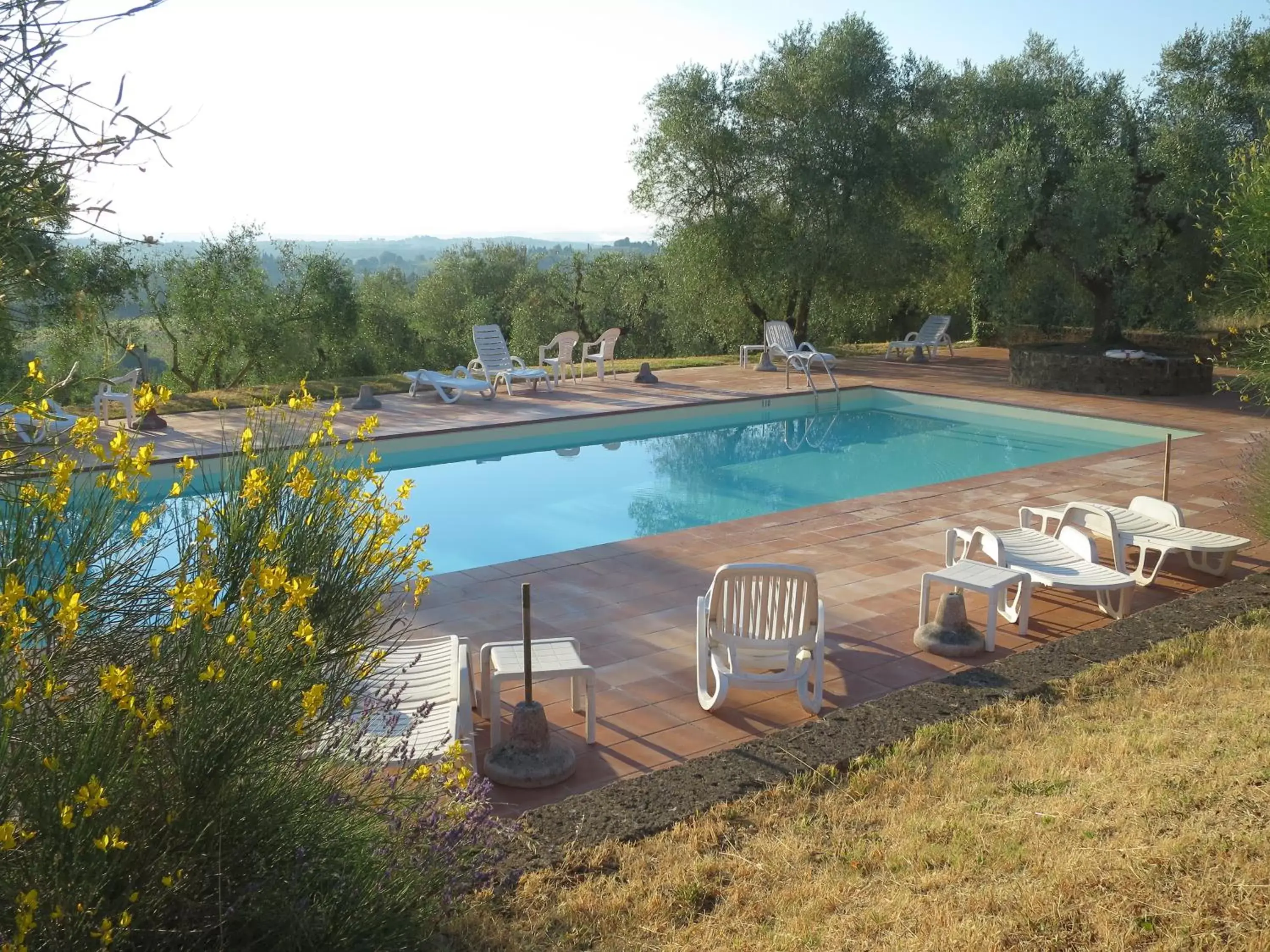 Natural landscape, Swimming Pool in Country Residence Cipriano - La Torre alle Tolfe