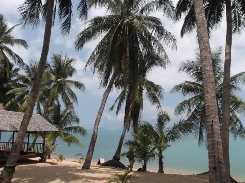 Area and facilities, Beach in Palm Point Village