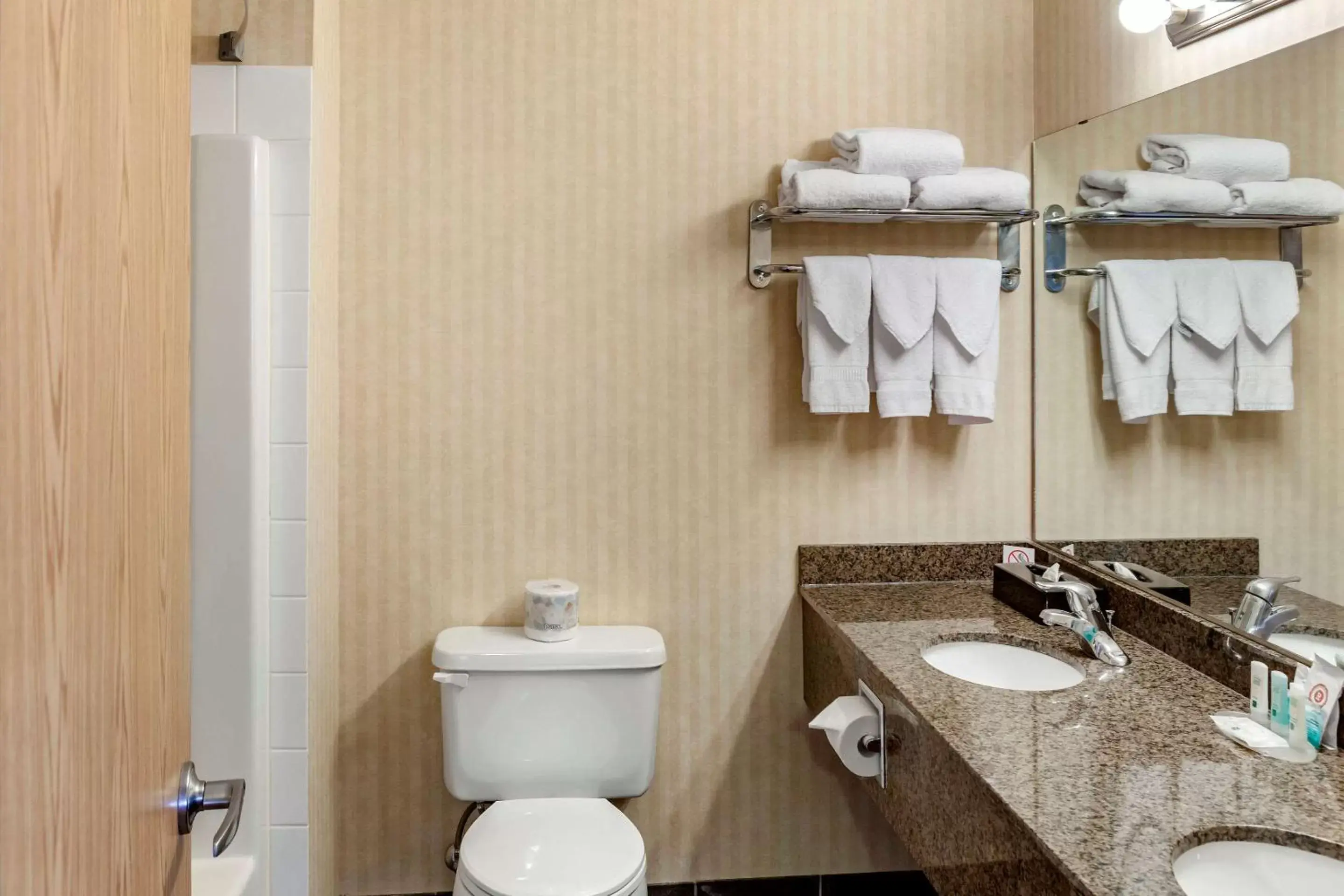 Bathroom in Quality Inn & Suites Edmonton International Airport