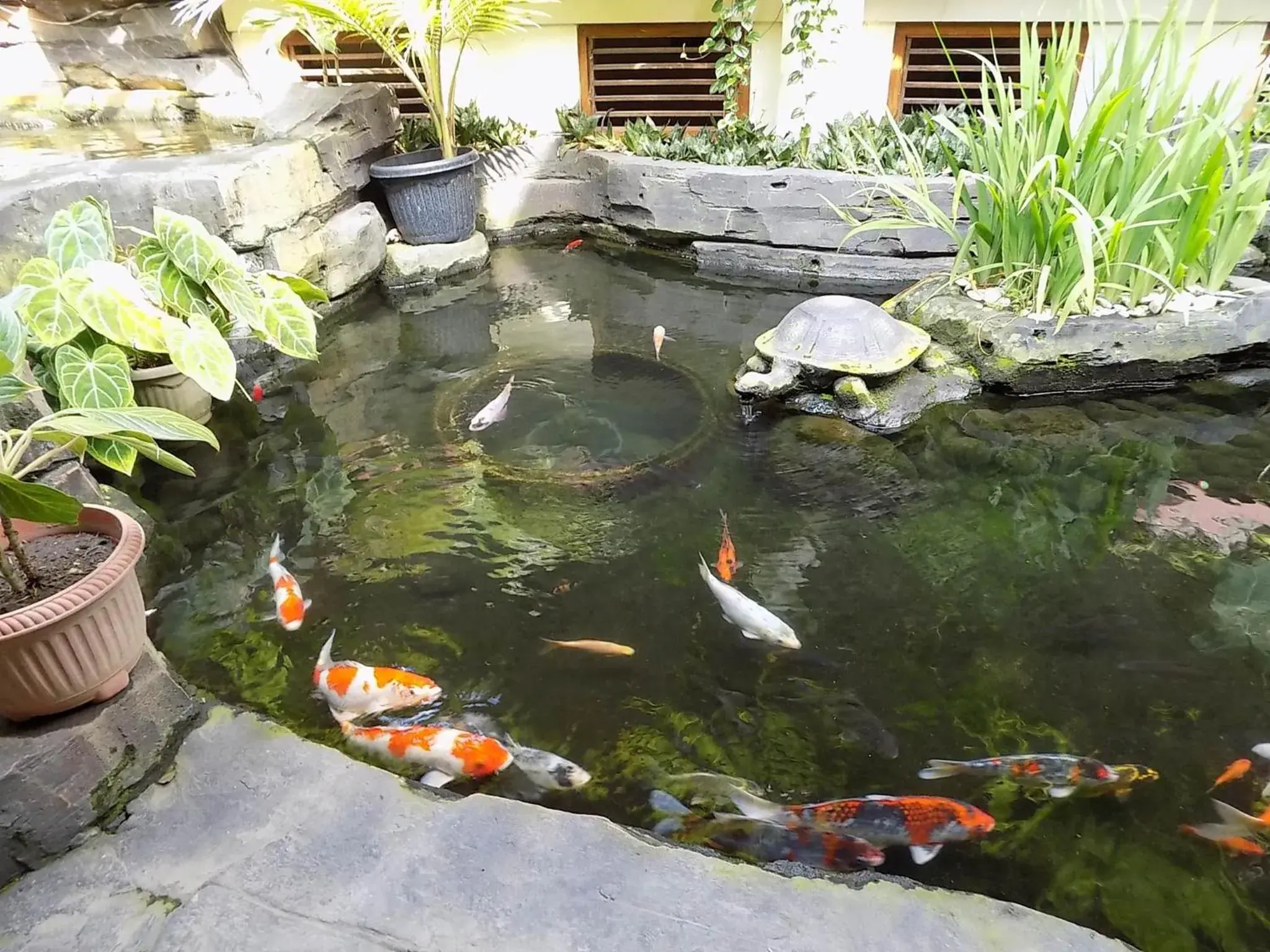 Garden in Duta Garden Hotel