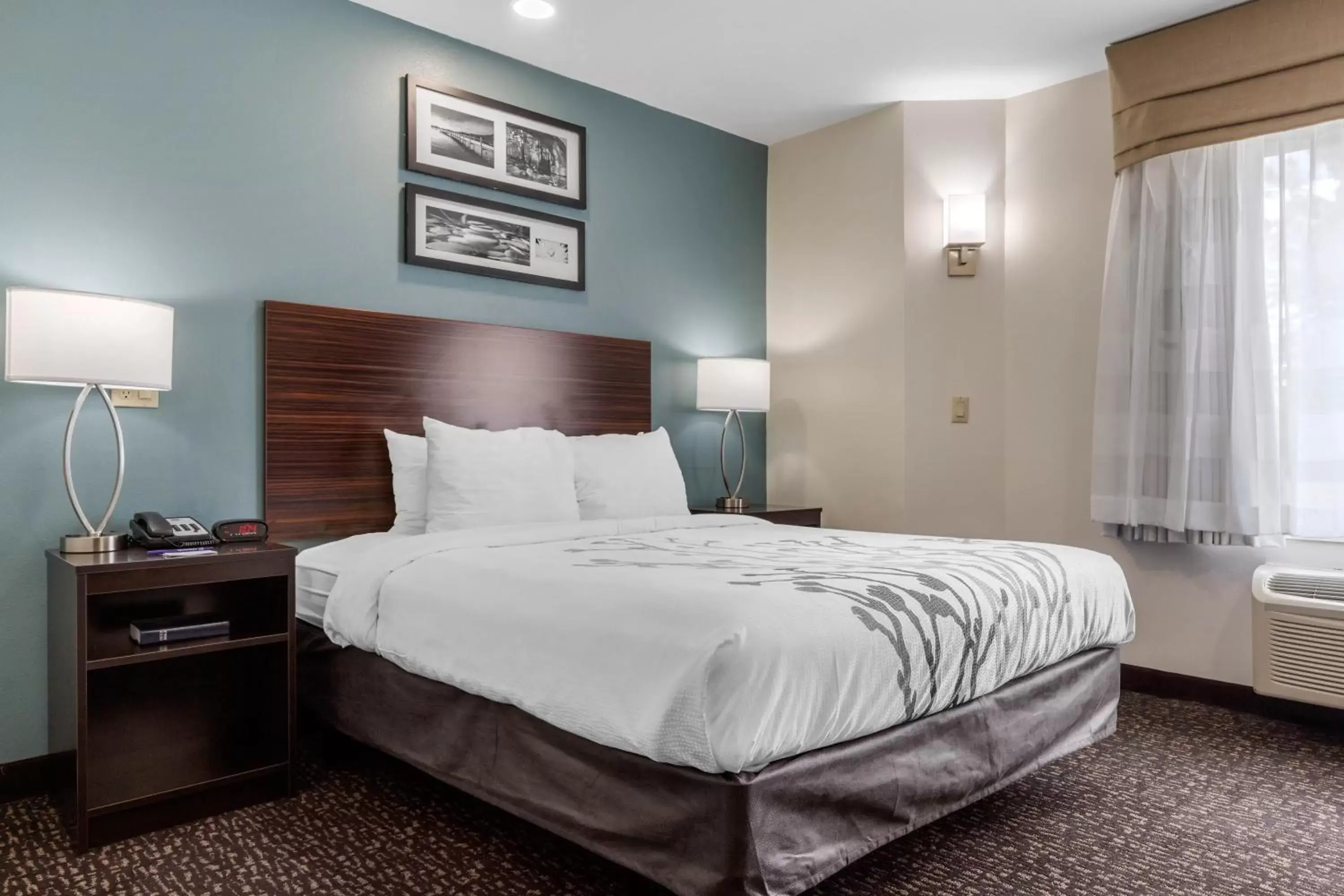 Facility for disabled guests, Bed in Sleep Inn & Suites Johnson City