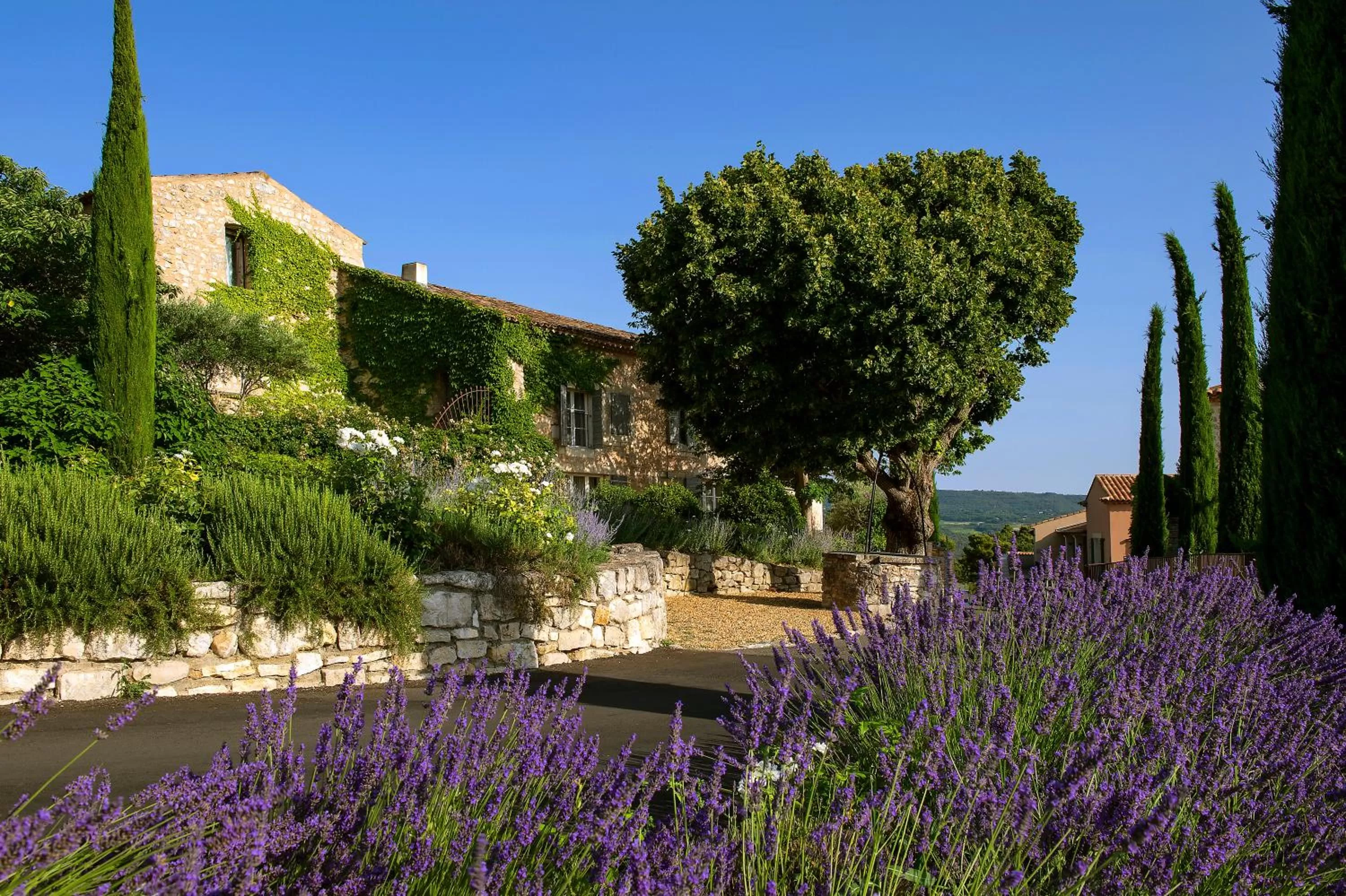 Property building in Coquillade Provence - Relais & Châteaux
