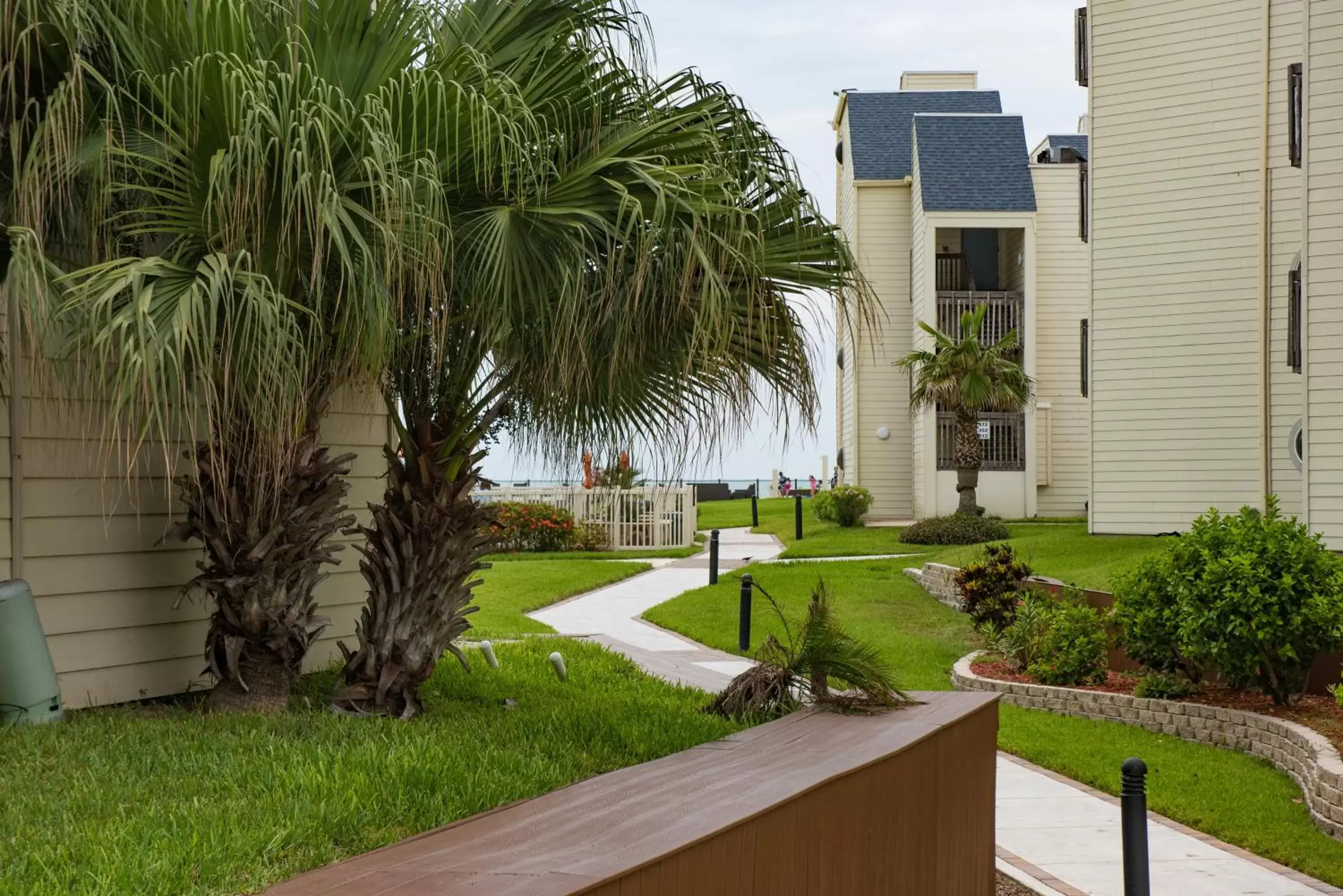 View (from property/room), Garden in South Padre Island Beach Rentals