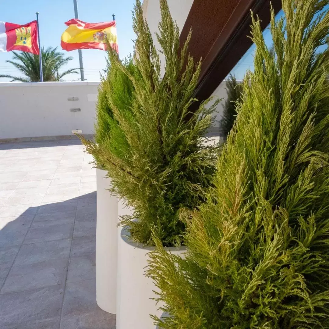 Solarium in HOTEL ÁNGEL