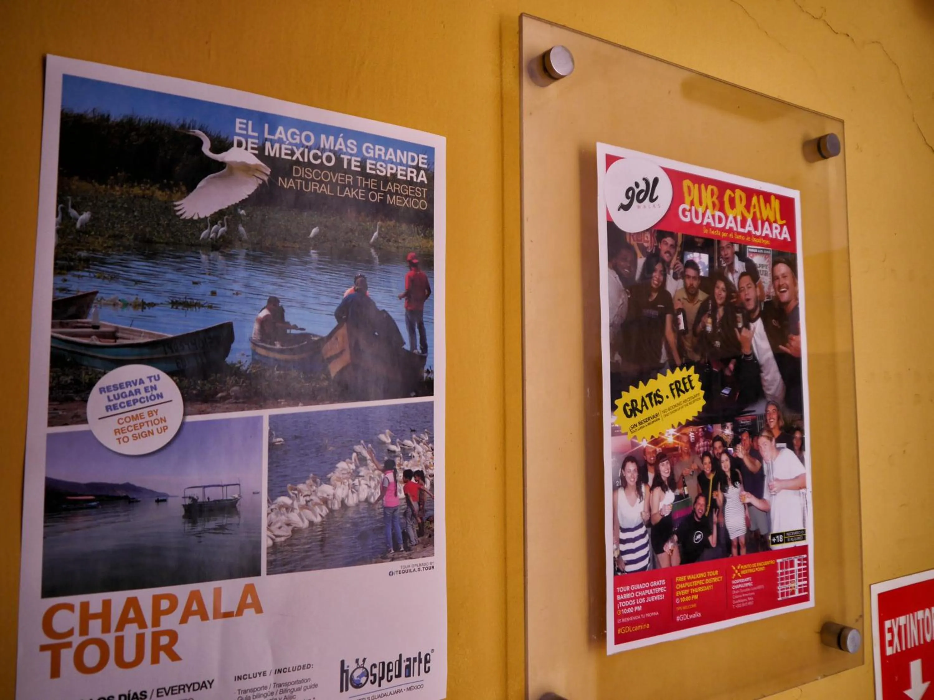 Activities in Hostel Hospedarte Chapultepec