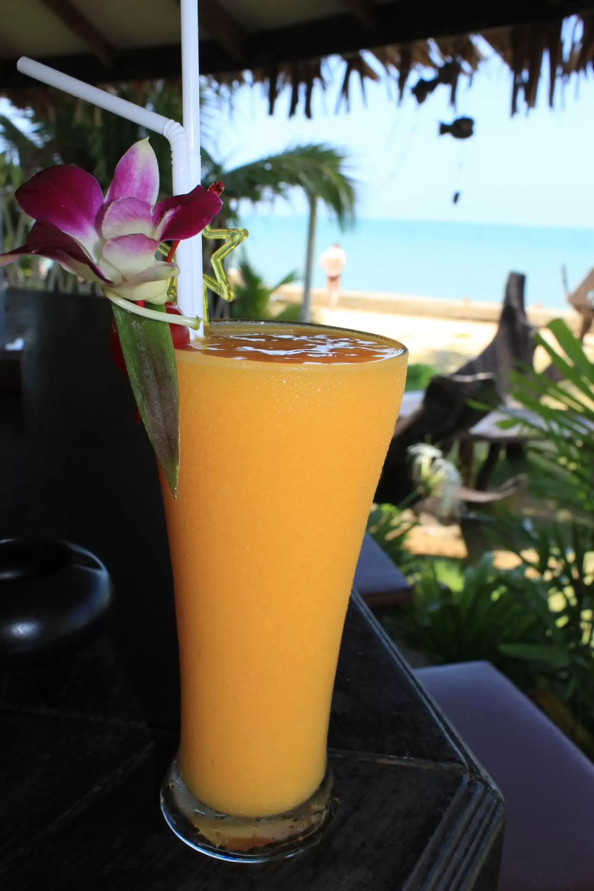 Restaurant/places to eat, Drinks in Sudala Beach Resort