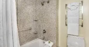 King Suite with Roll-In Shower and Sofabed - Mobility Accessible/Non-Smoking in Best Western Plus Palm Court Hotel