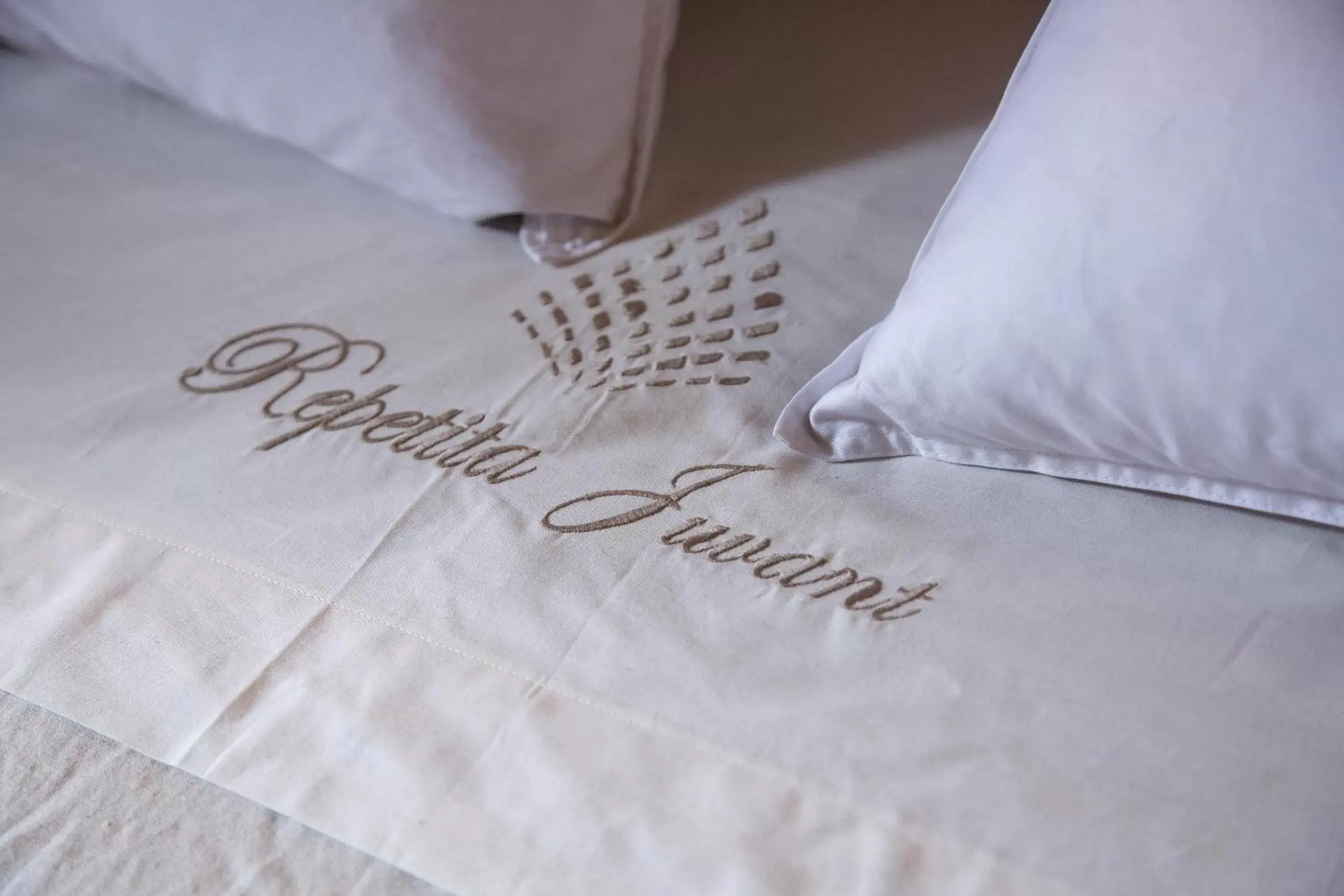 Bed, Property Logo/Sign in Repetita Juvant