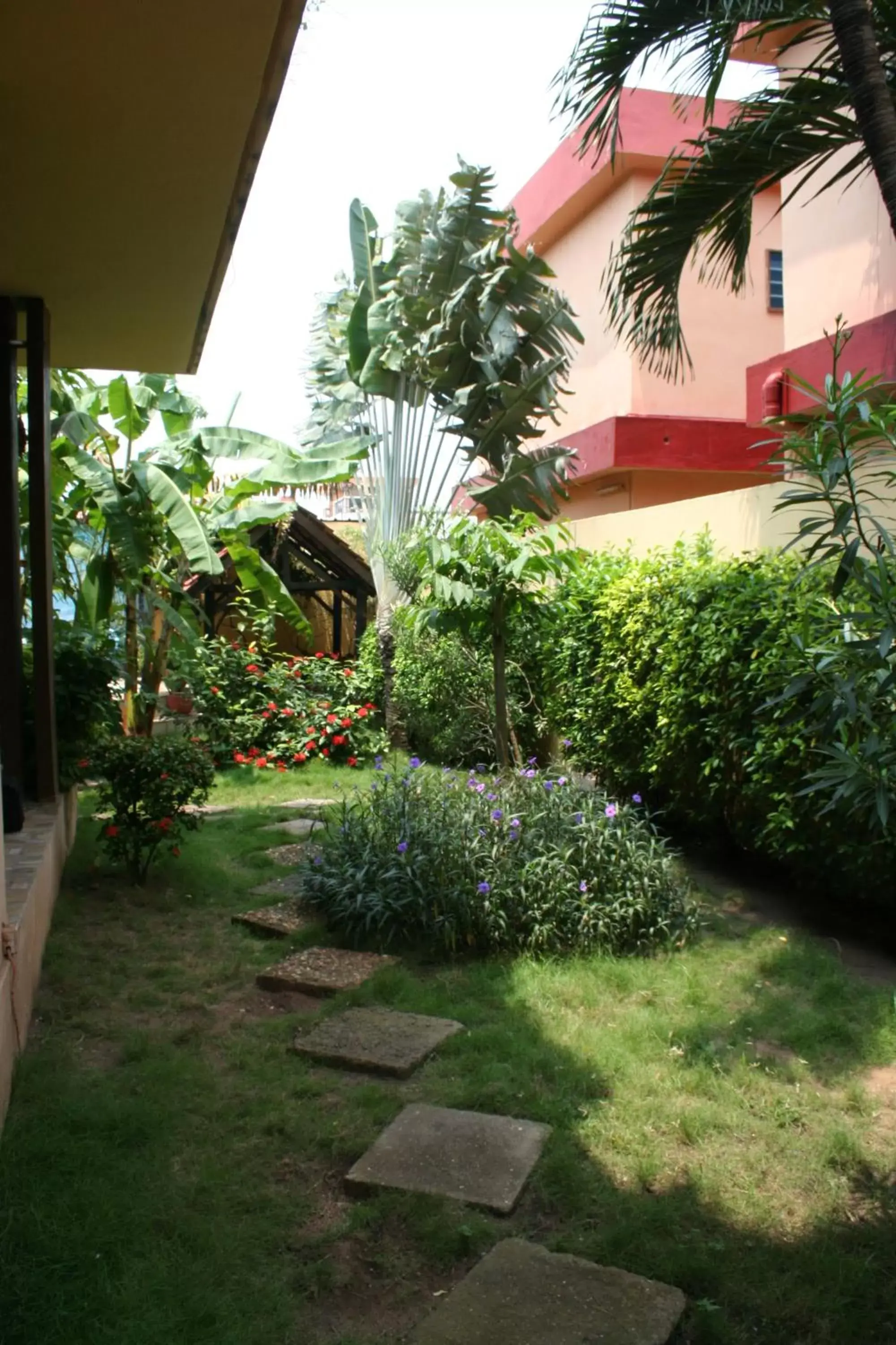 Property building, Garden in Hotel Aurore Lomé