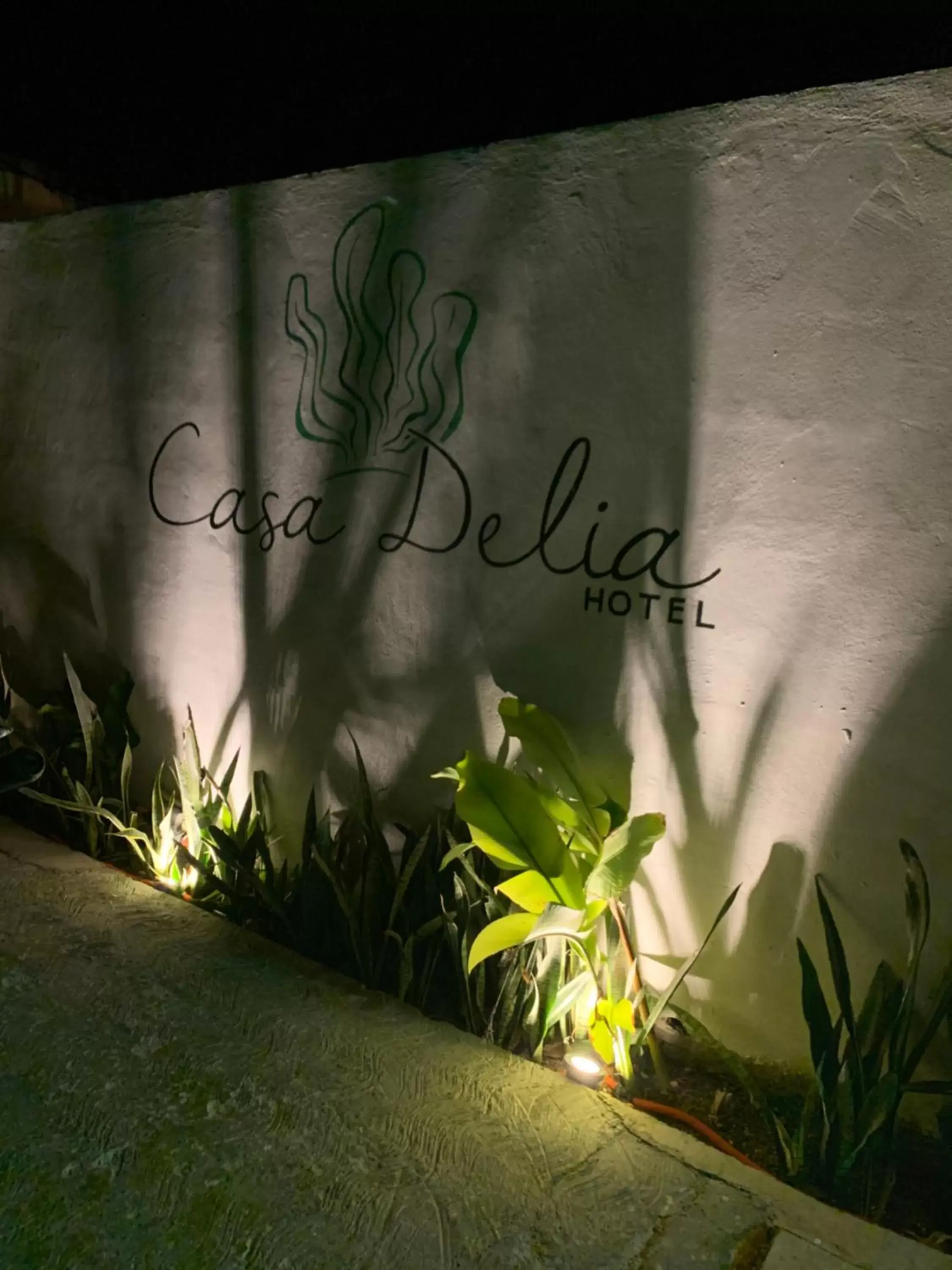 Casa Delia Hotel Downtown