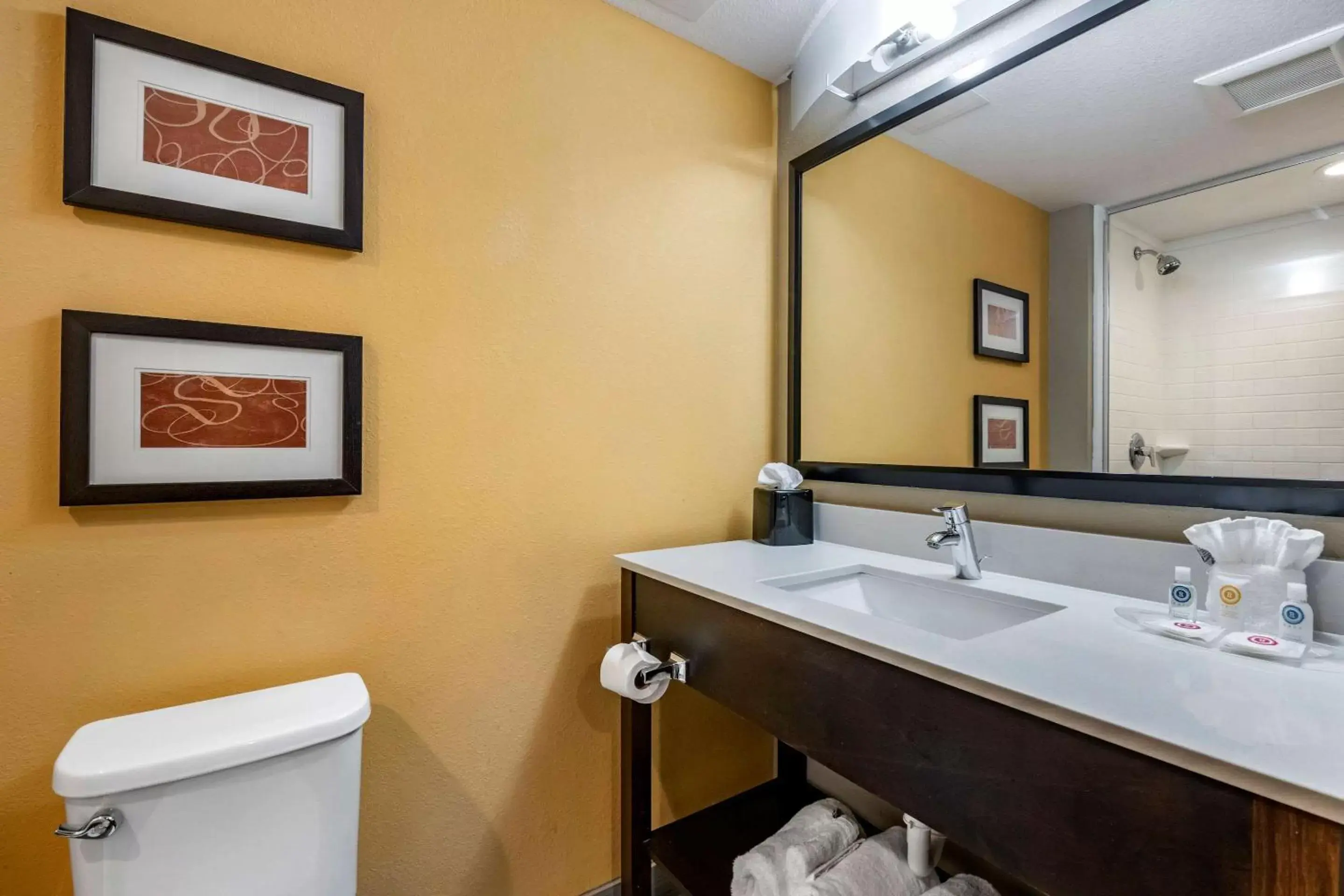Bathroom in Comfort Suites Fort Lauderdale Airport South & Cruise Port