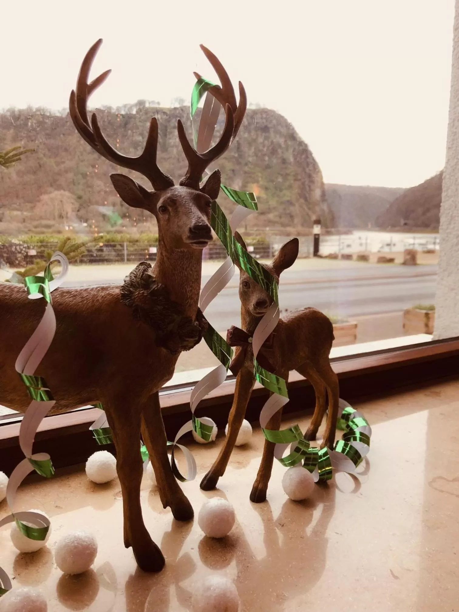 Hotel Cafe Restaurant Loreleyblick