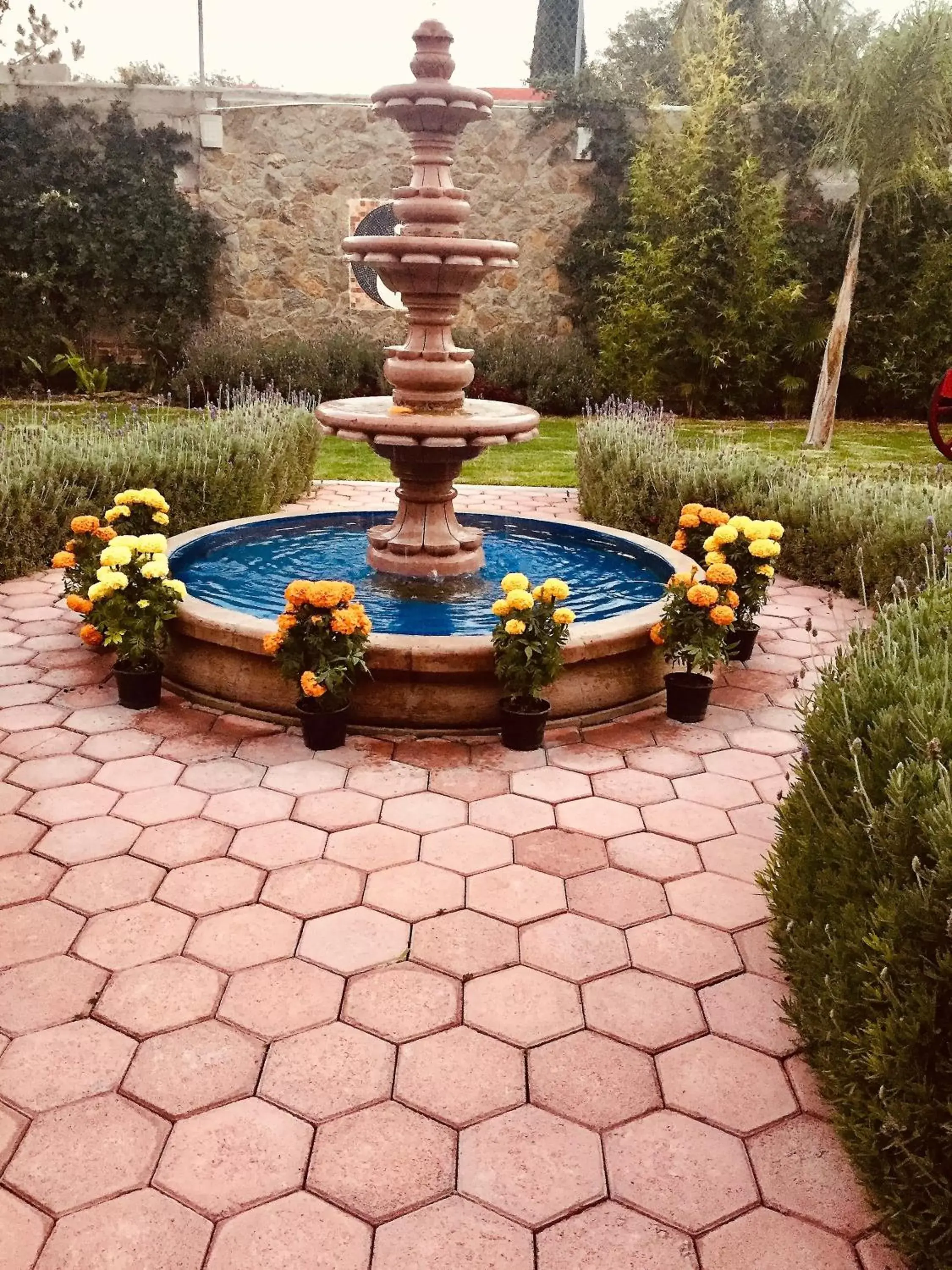 Garden in Hotel Boutique La Herencia