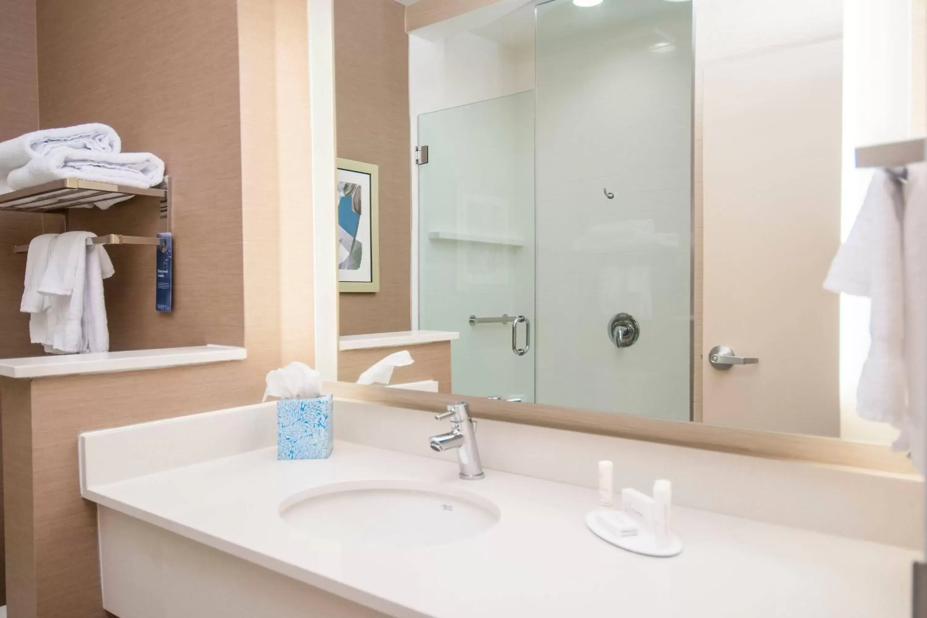 Bathroom in Fairfield Inn & Suites by Marriott LaPlace