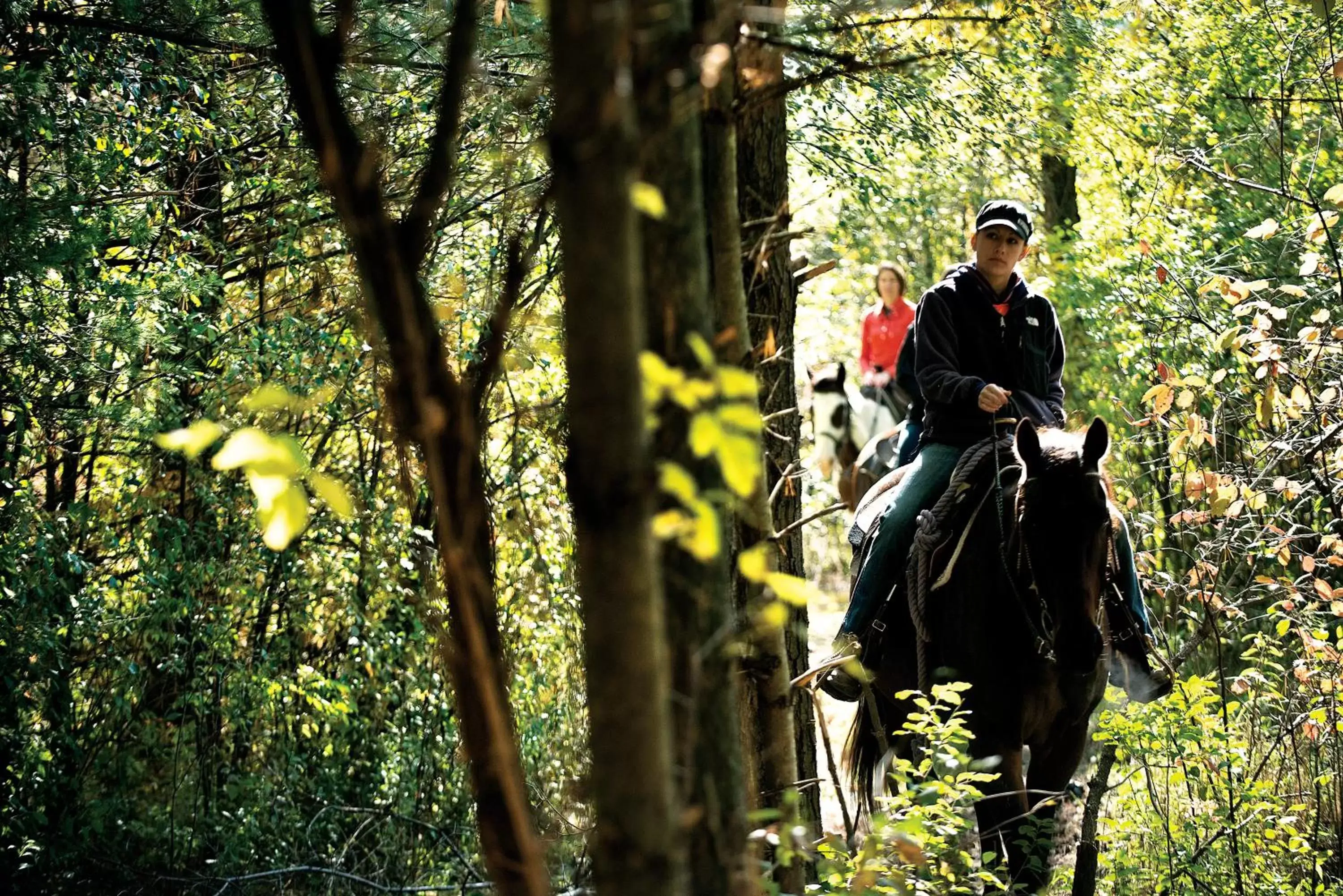 Horse-riding, Horseback Riding in Timber Ridge Lodge and Waterpark