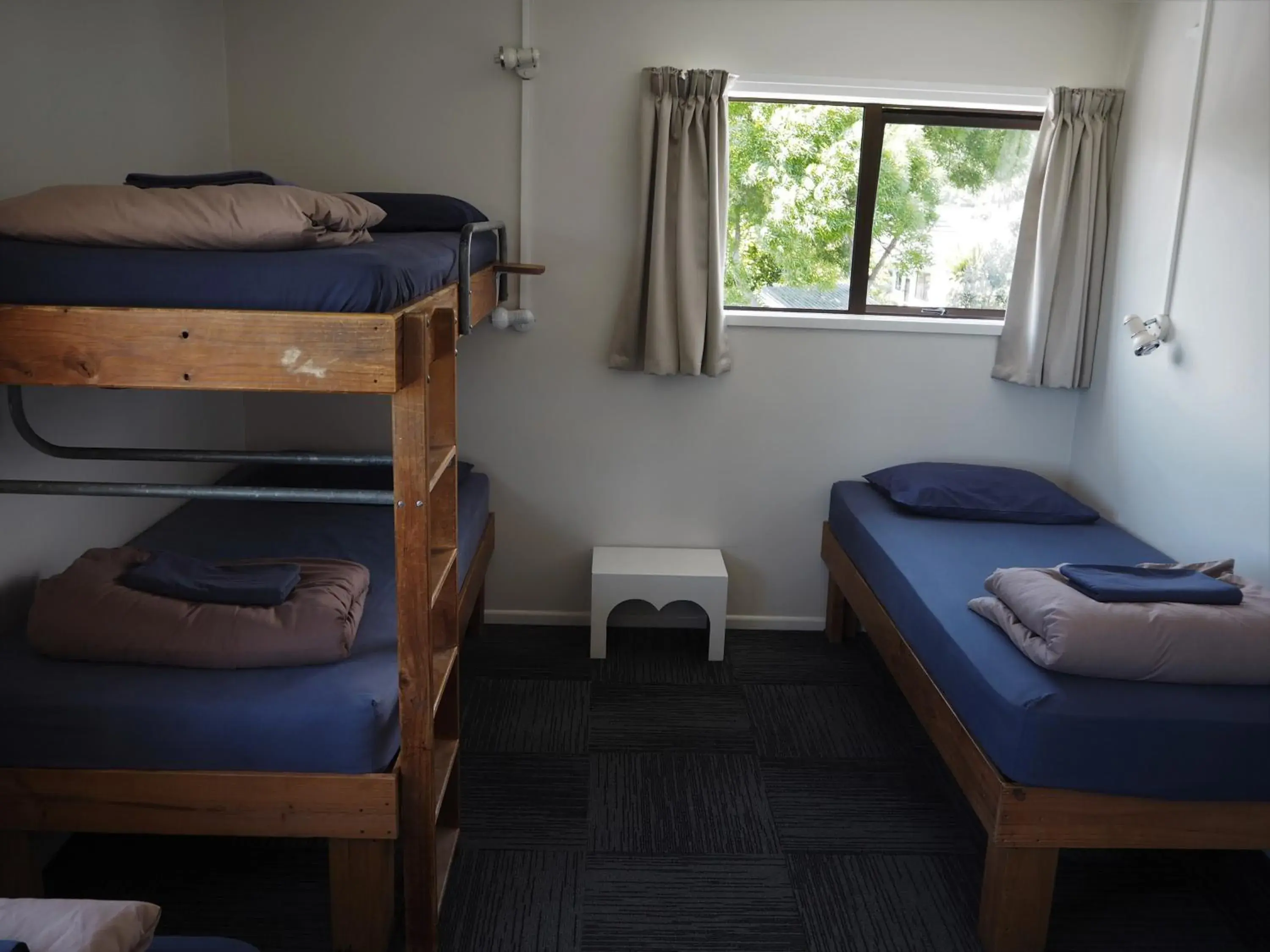 Bunk Bed in Tasman Bay Backpackers