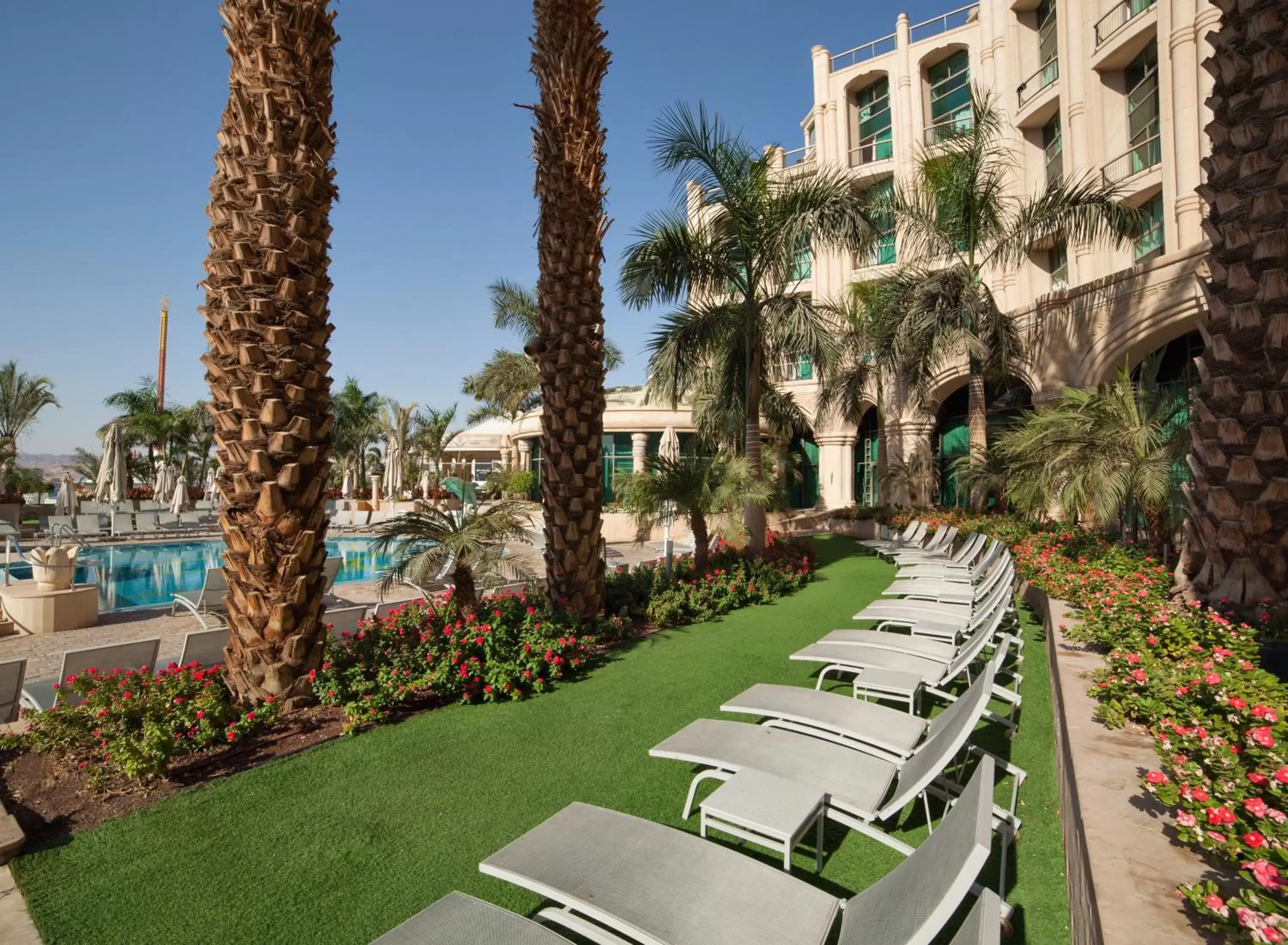 Patio, Property Building in Queen of Sheba Eilat