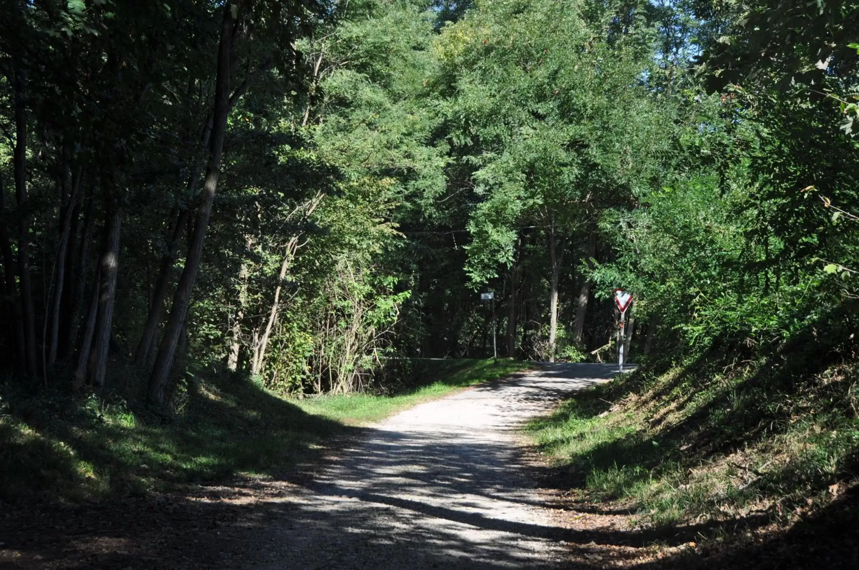 Natural landscape in Villa Fior di Robinia