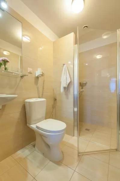 Shower in Hotel Alexander