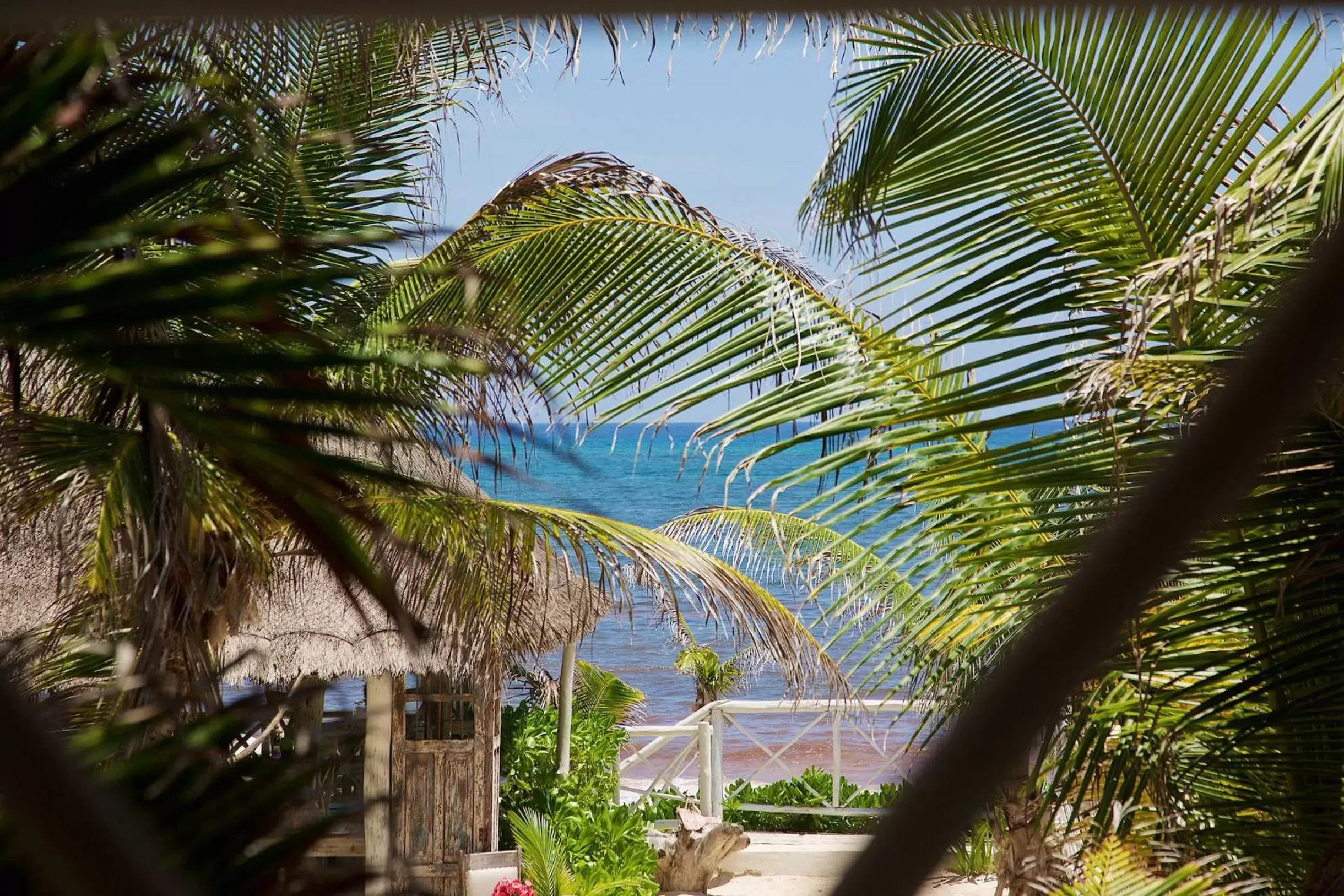 Day, Beach in Punta Piedra Beach Posada