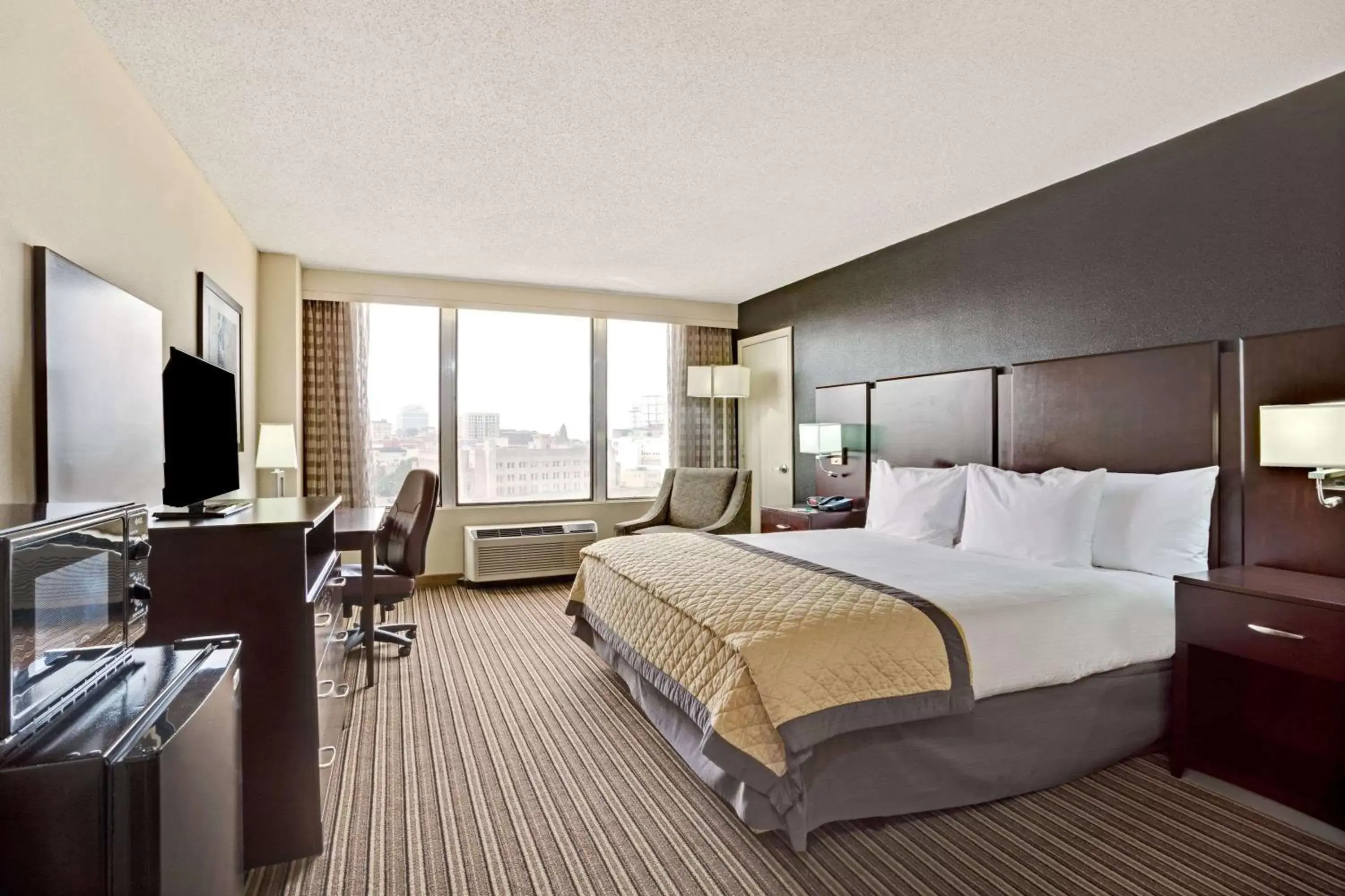 Photo of the whole room in Wyndham Garden Norfolk Downtown