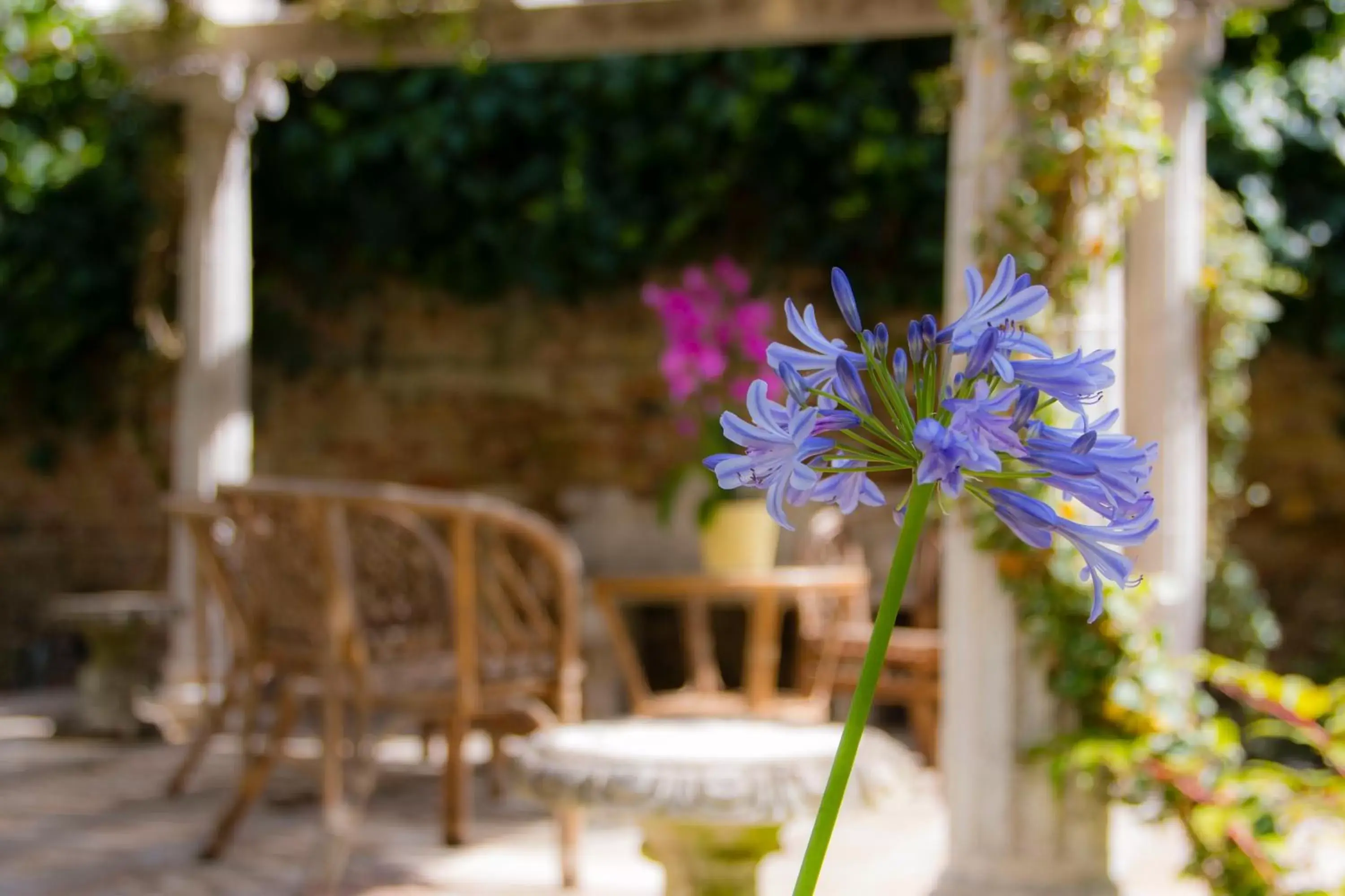 Garden in Hotel Sant'Antonin