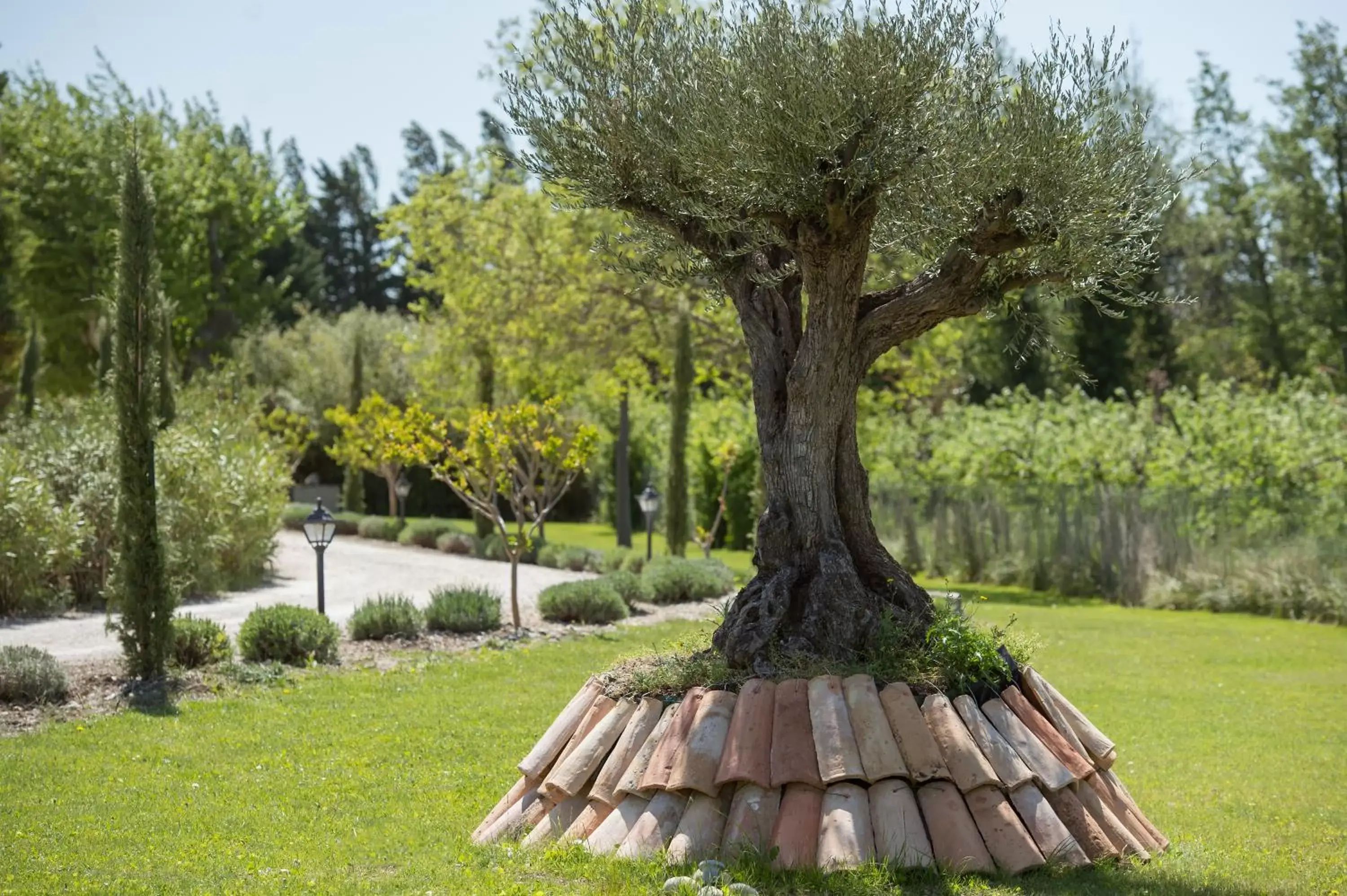 Garden view, Garden in Les Carmes and spa