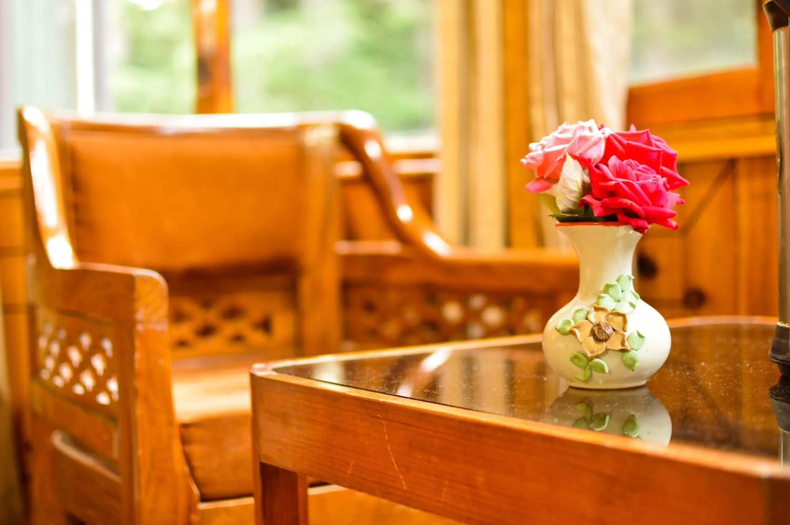 Mountain view in Hotel Mountain Top Mountain view in Hotel Mountain Top