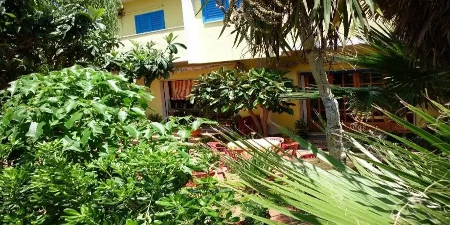 Garden, Property Building in Hotel Alexander