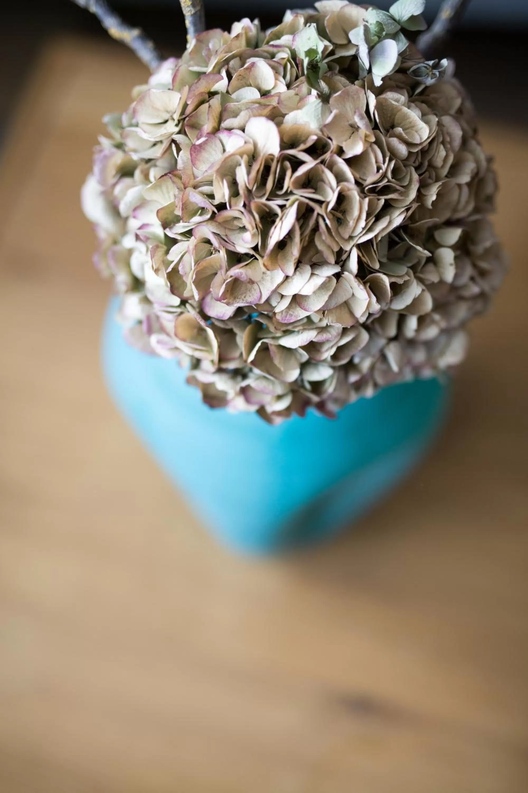 Photo of the whole room in Hotel & Restaurant Fackelgarten Plau am See