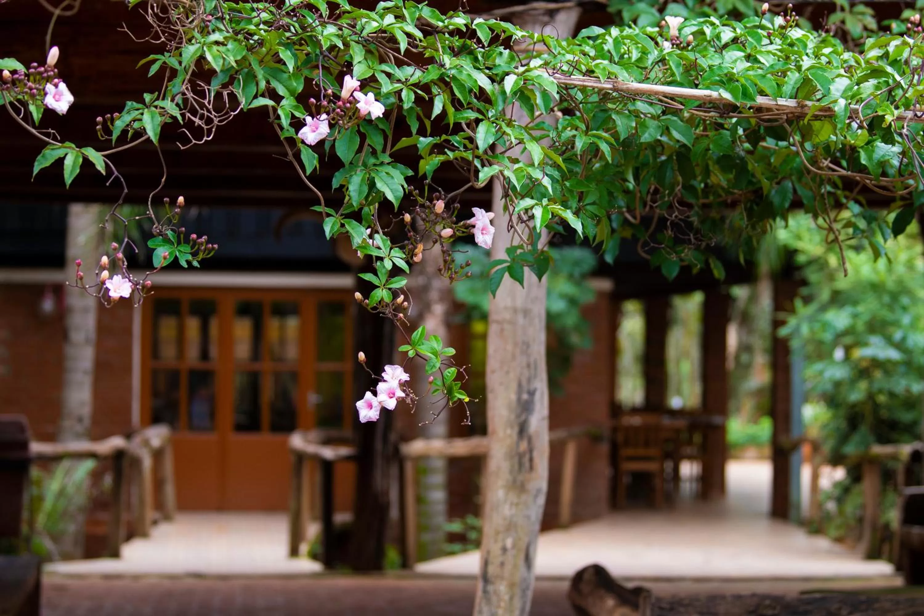 Property building in La Cautiva Iguazú Hotel