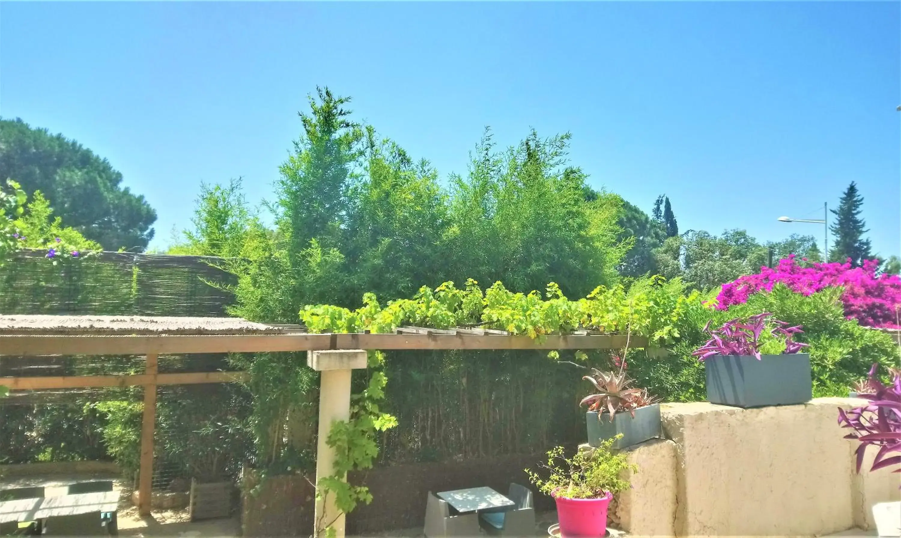 Garden in Hotel Les Jardins de Bormes