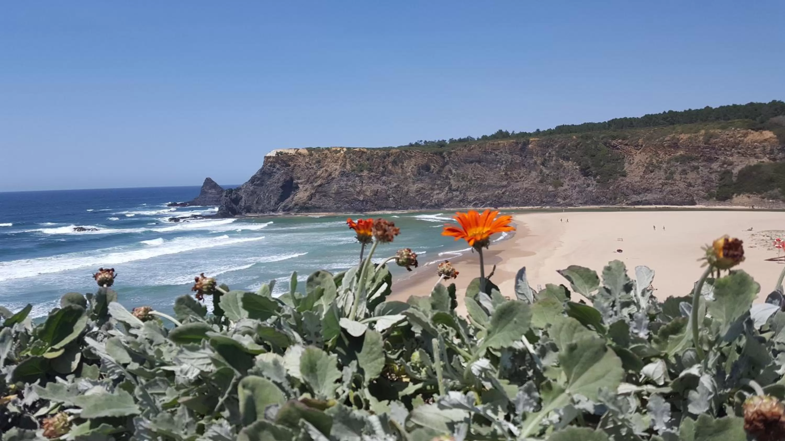 Beach in Vicentina Hotel