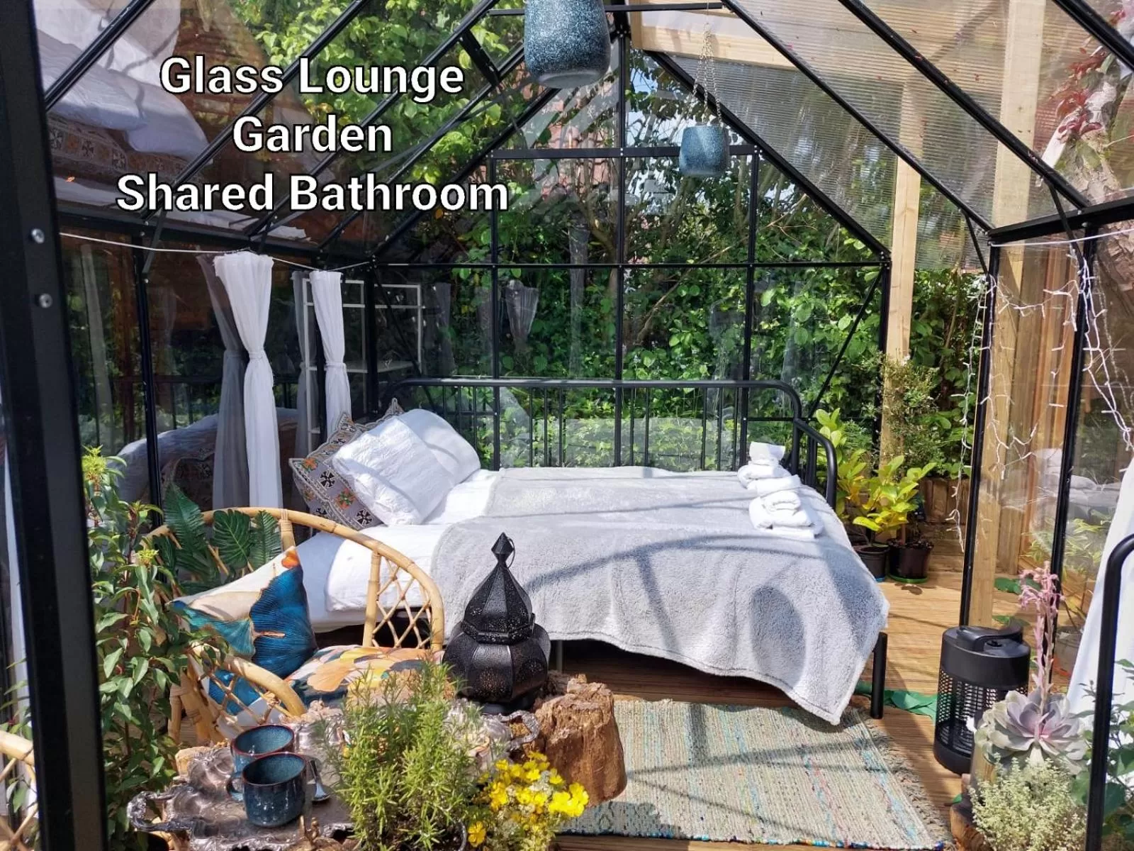 Pilgrims of the Goddess