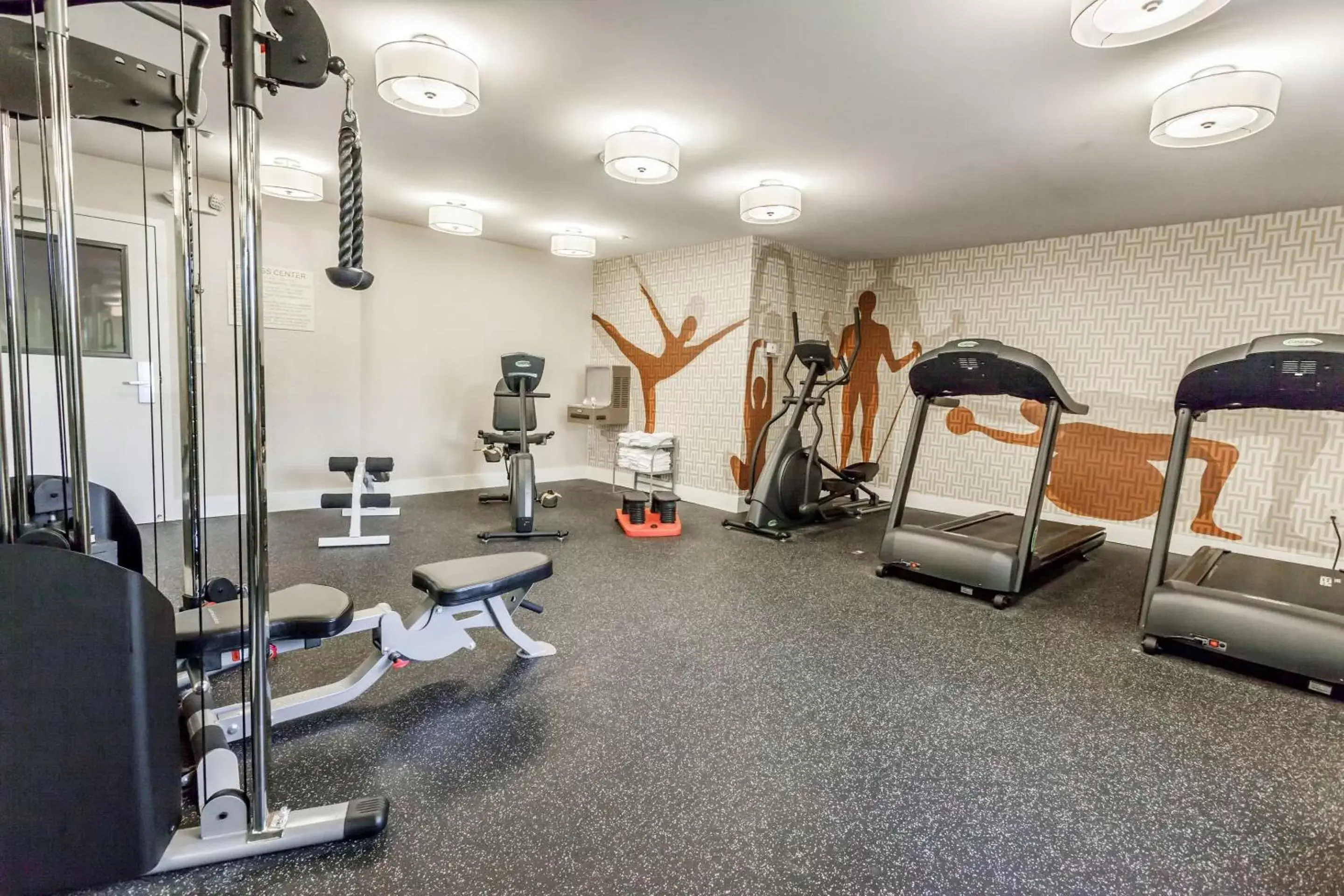 Fitness centre/facilities, Fitness Center/Facilities in MainStay Suites Detroit Auburn Hills
