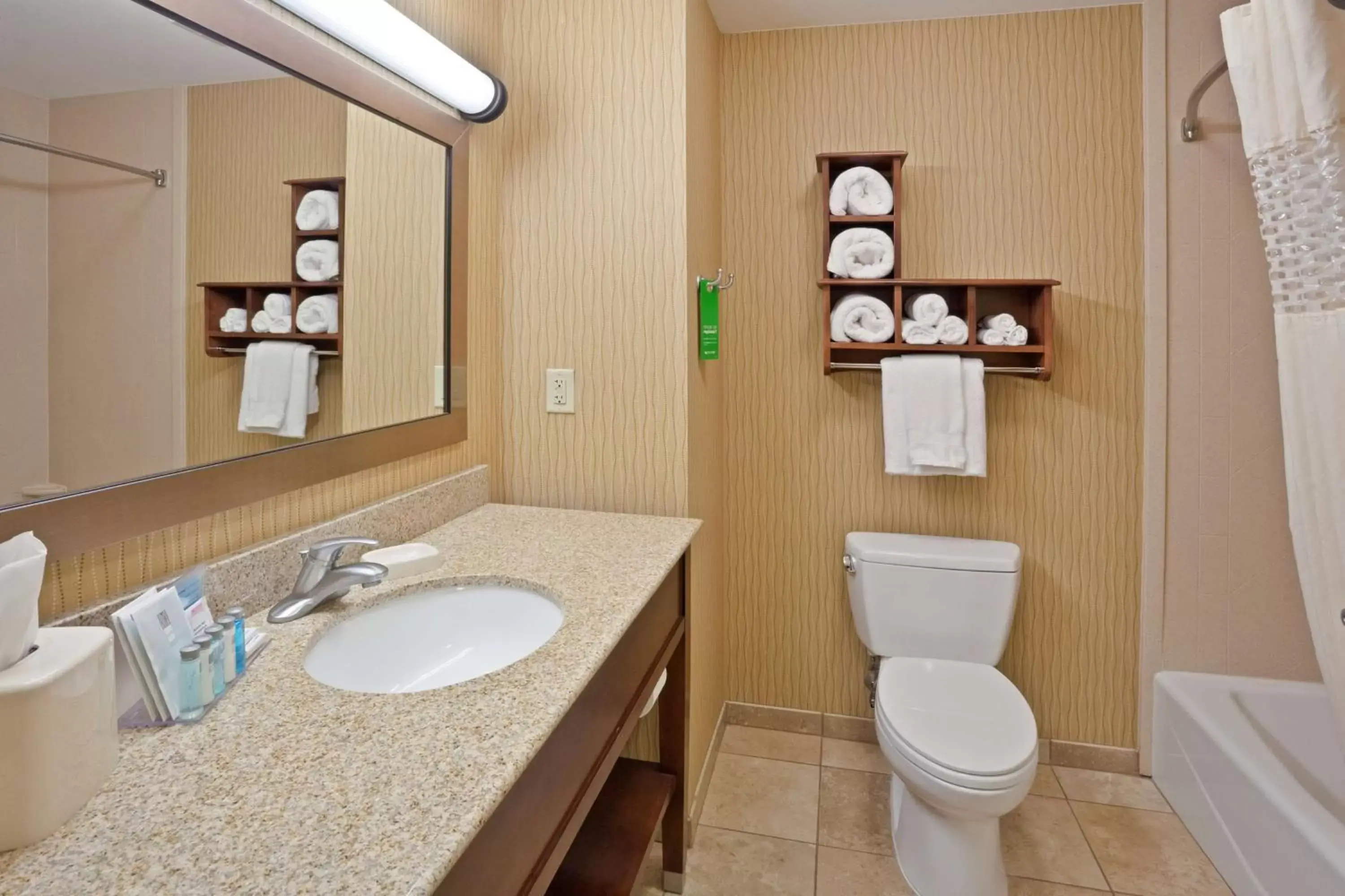 Bathroom in Hampton Inn Matamoras