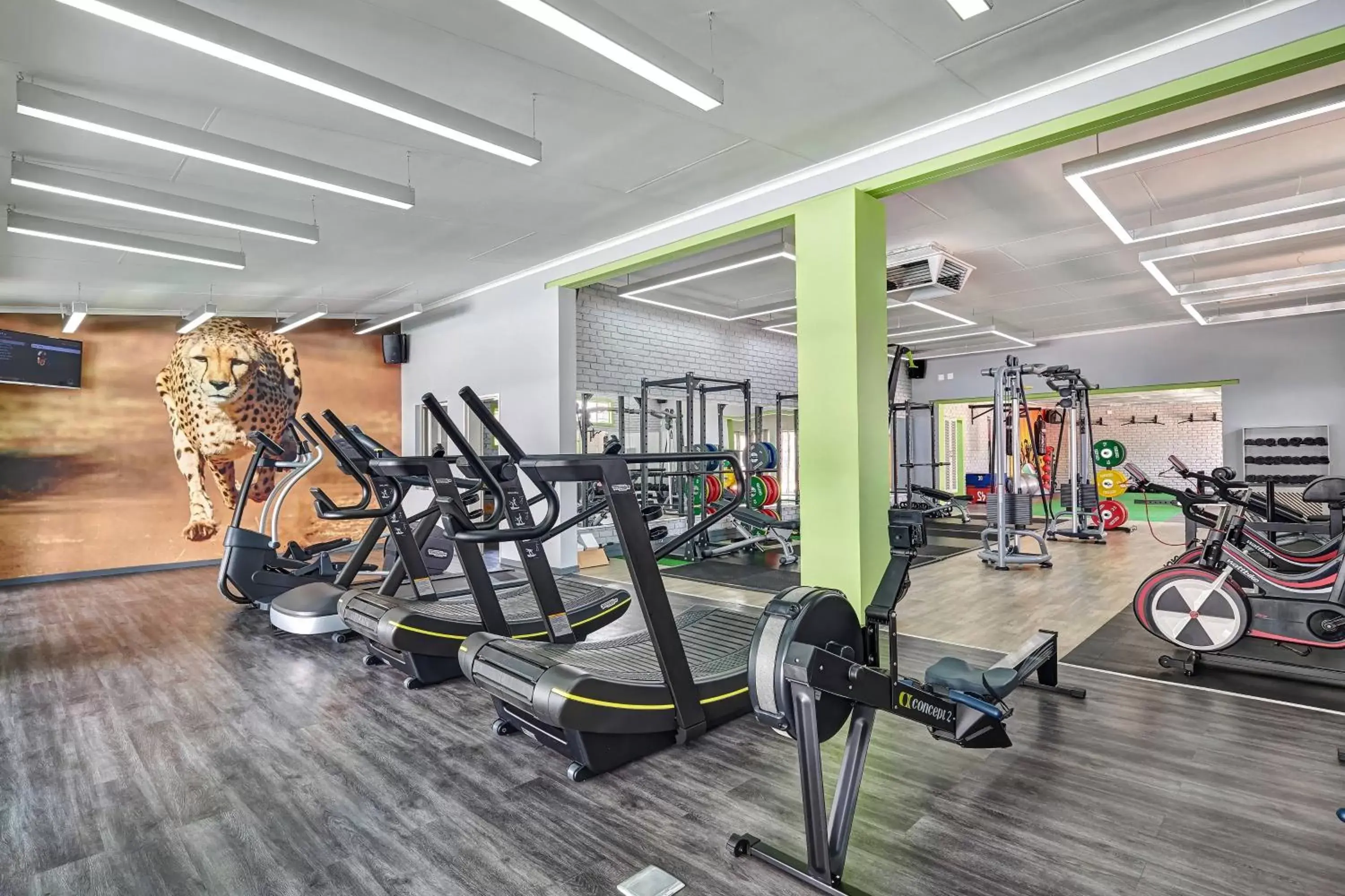 Area and facilities, Fitness Center/Facilities in Protea Hotel by Marriott Polokwane Ranch Resort