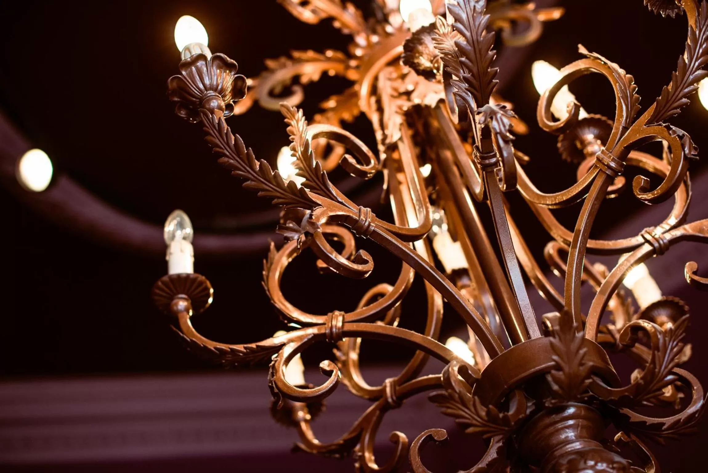 Restaurant/places to eat in Grey Street Hotel