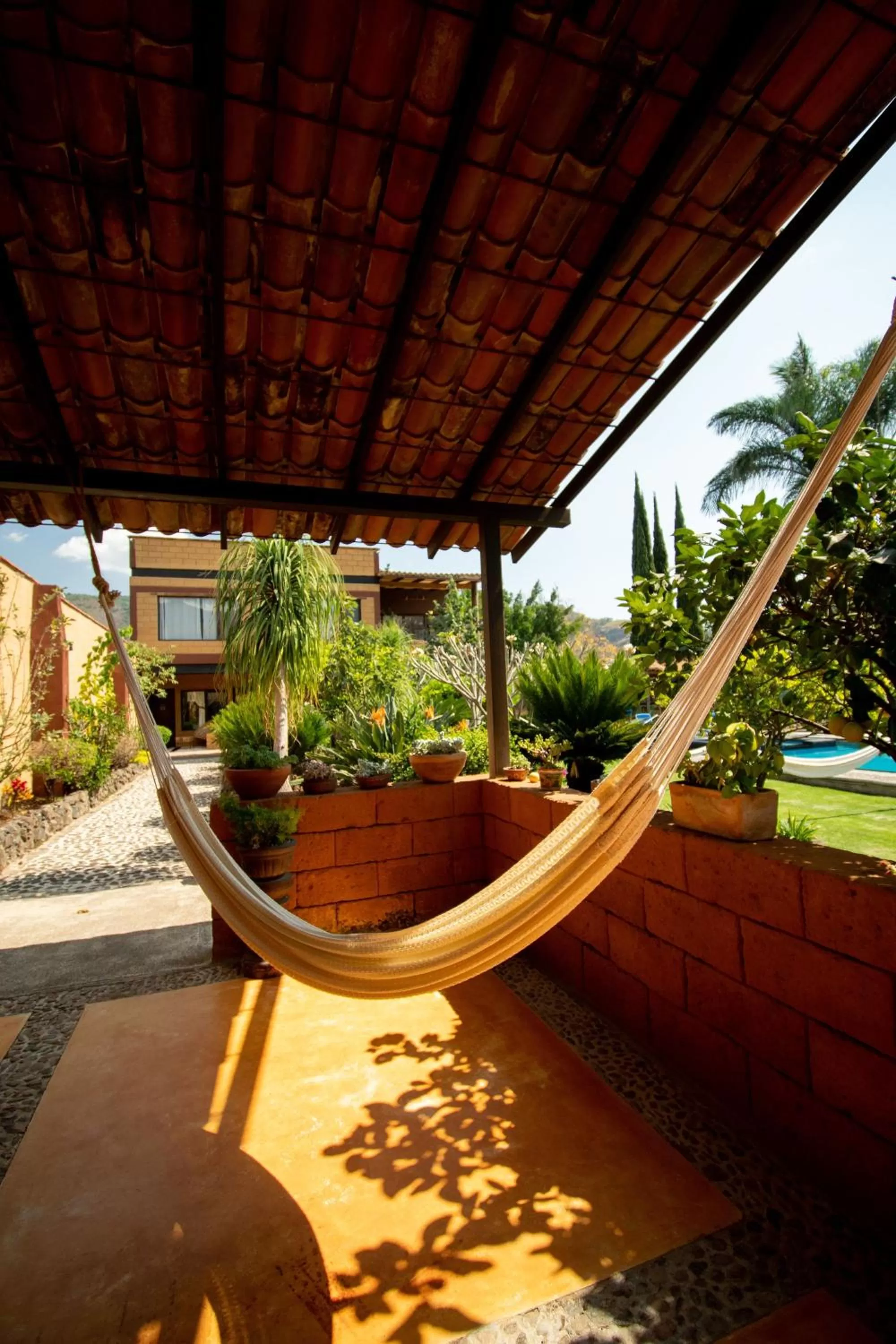 Balcony/Terrace in Quinta Ascensión Hotel Boutique Only Adults