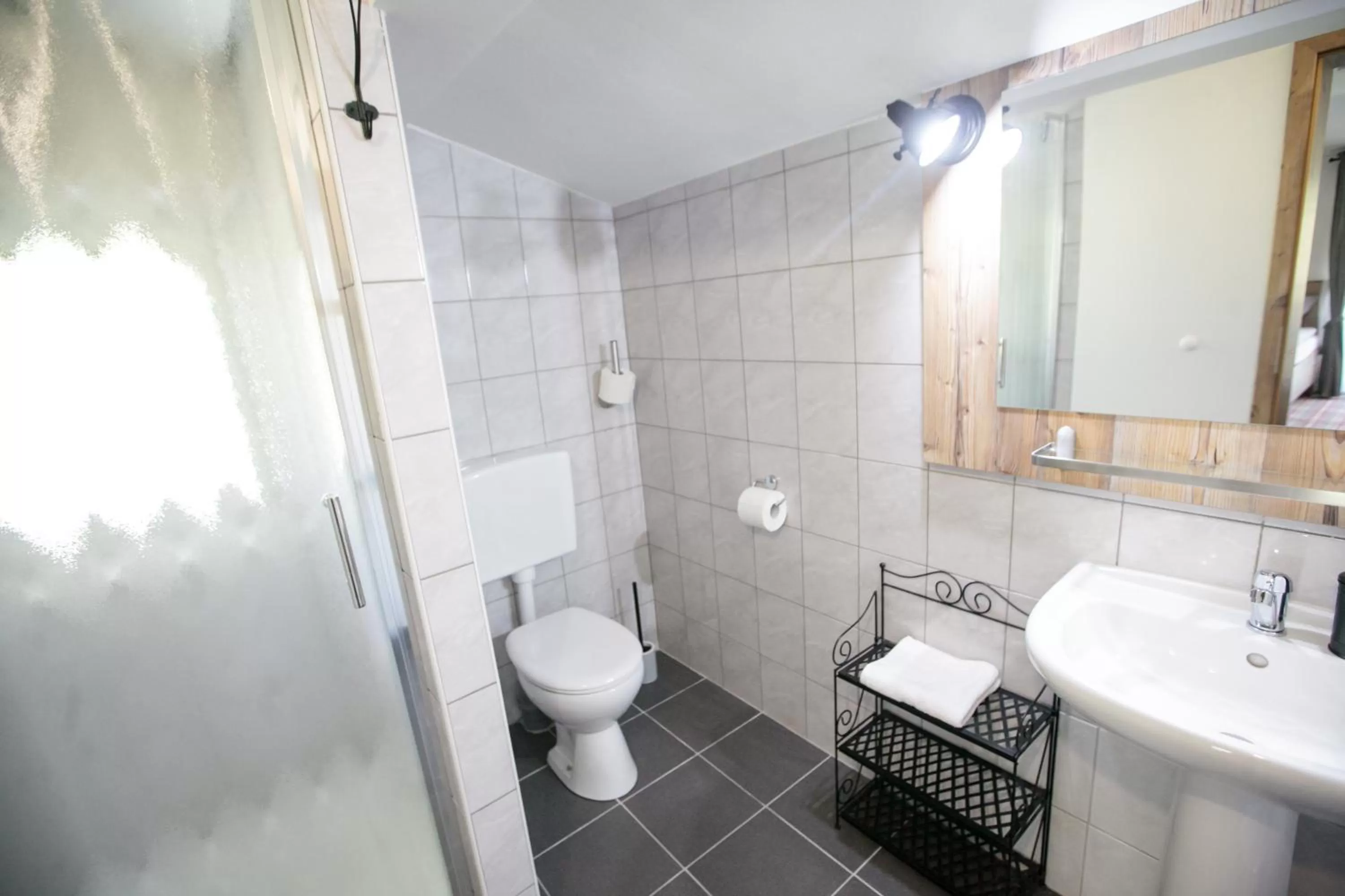 Shower in Hiša Poljana Rooms