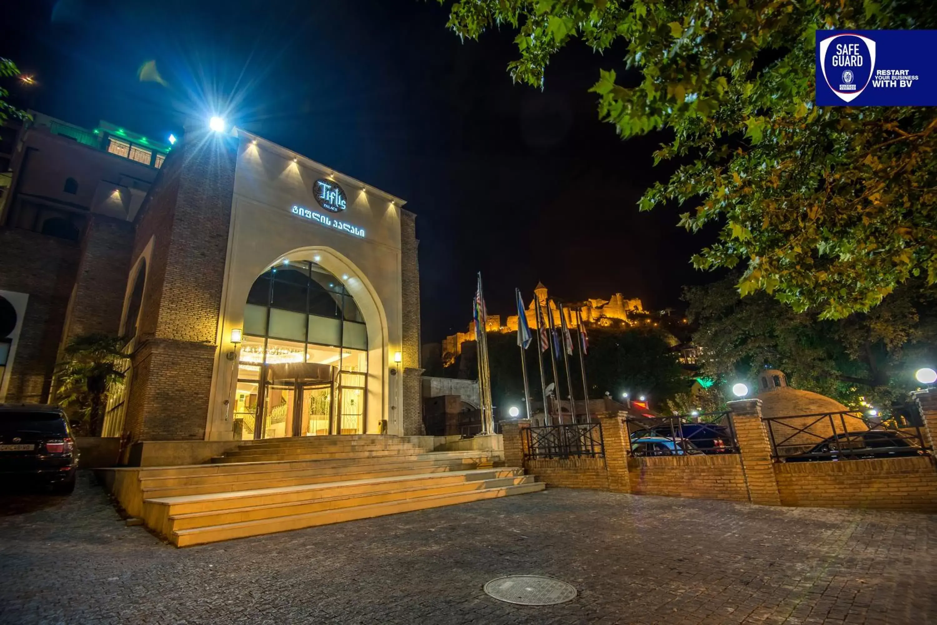 Property building in Tiflis Palace Property building in Tiflis Palace