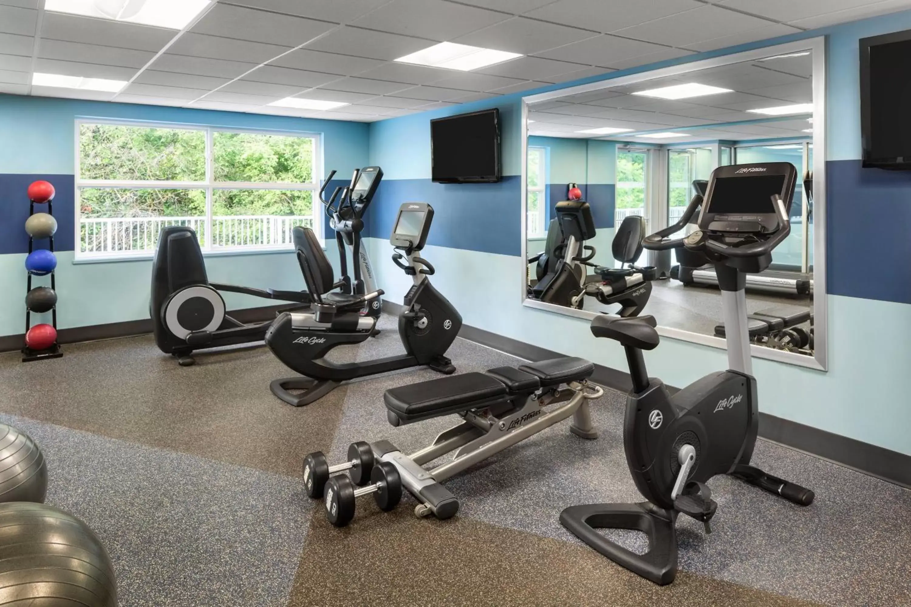 Fitness centre/facilities, Fitness Center/Facilities in Four Points by Sheraton Surrey